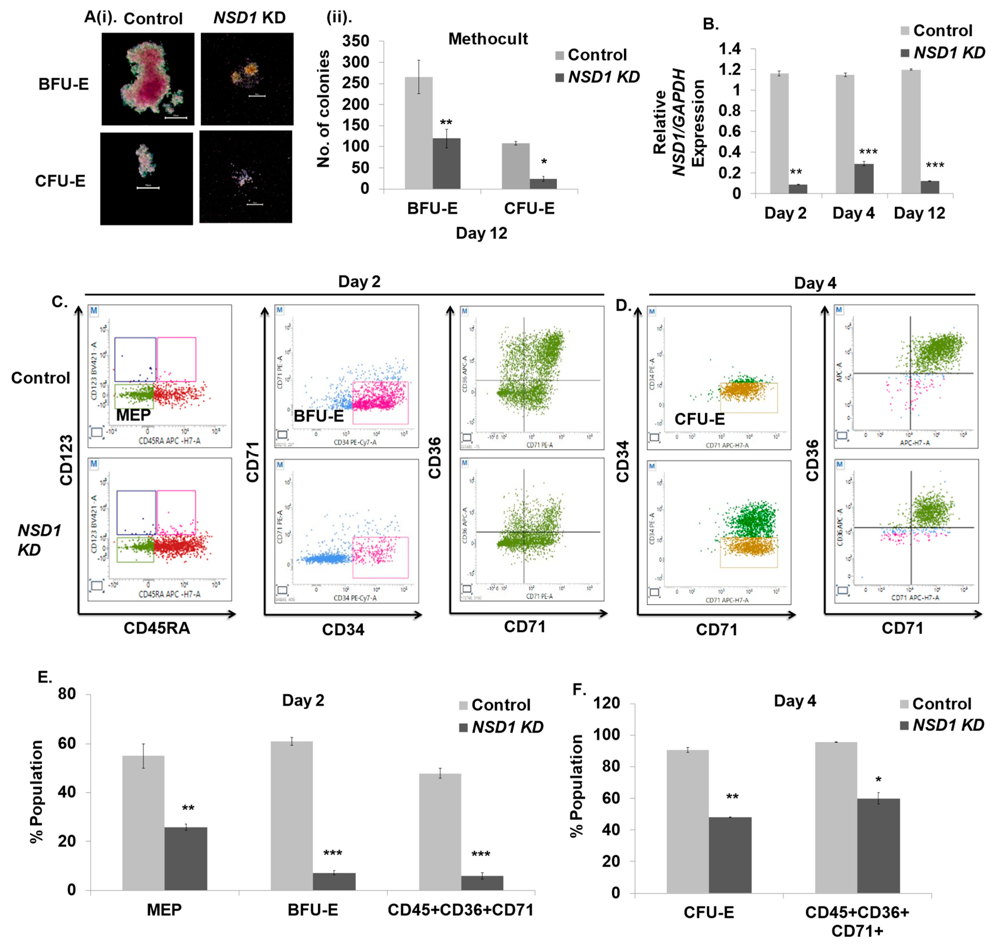 Cells 12 01303 g006 Cells 12 01303 g006