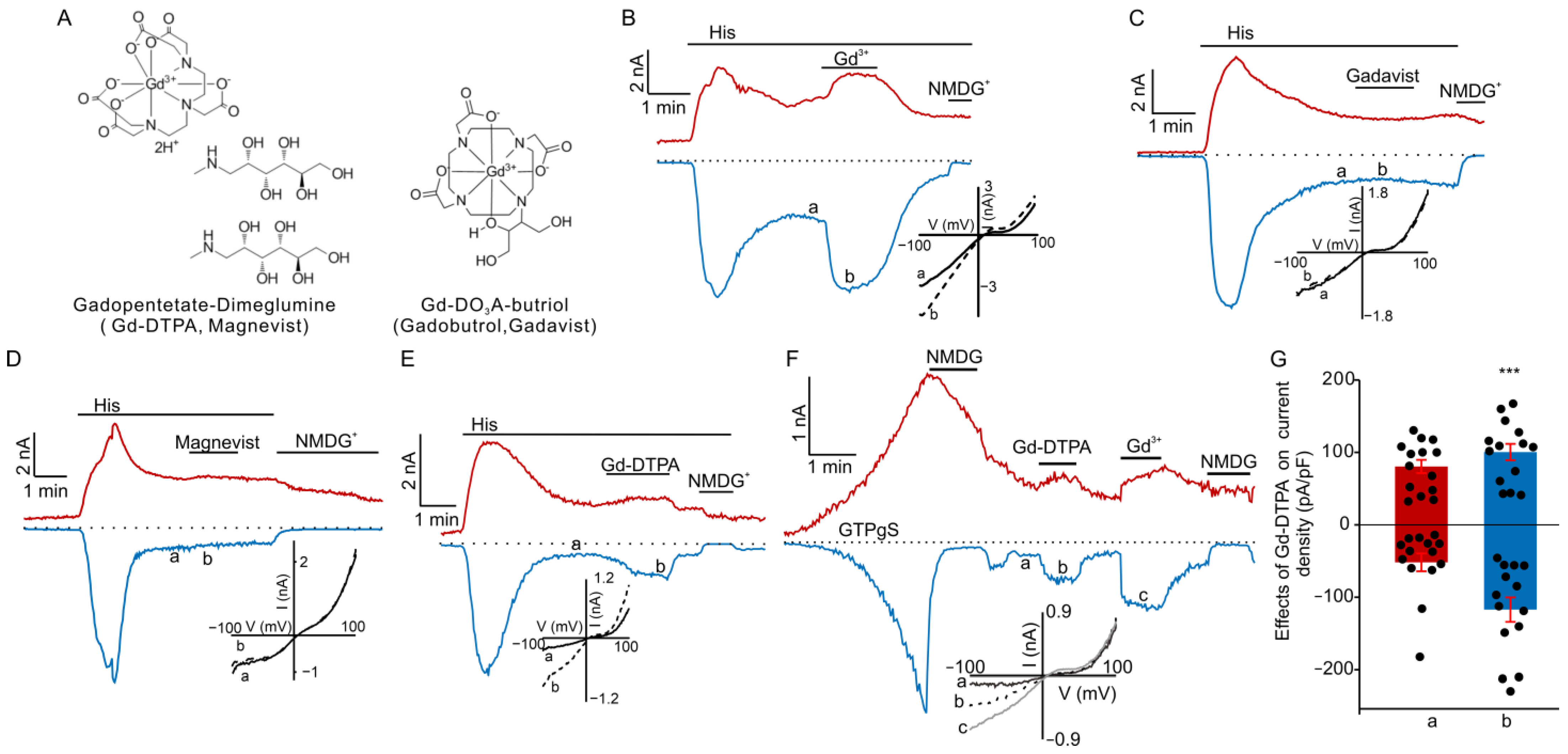Cells 12 01304 g001 Cells 12 01304 g001
