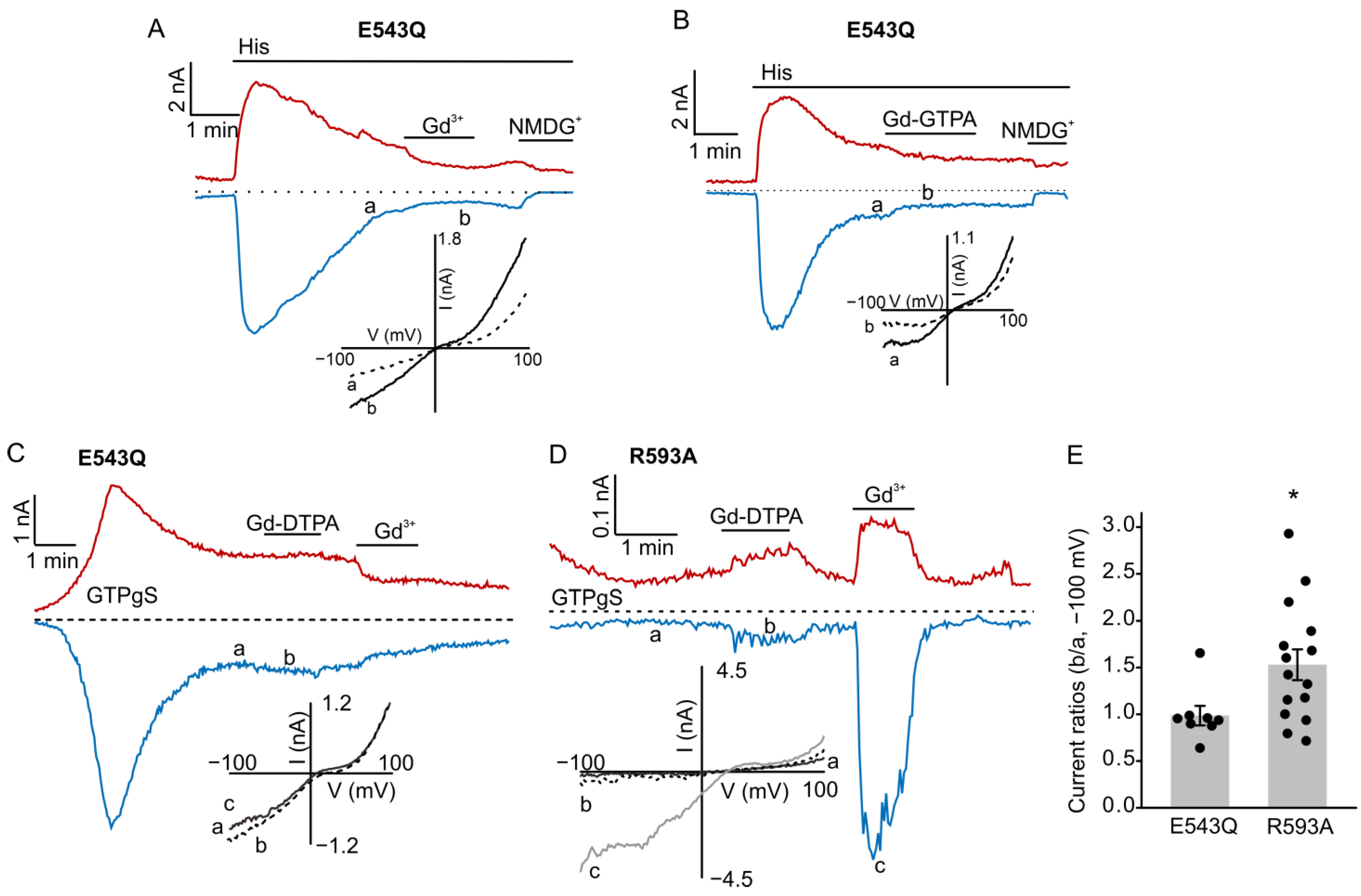 Cells 12 01304 g002 Cells 12 01304 g002