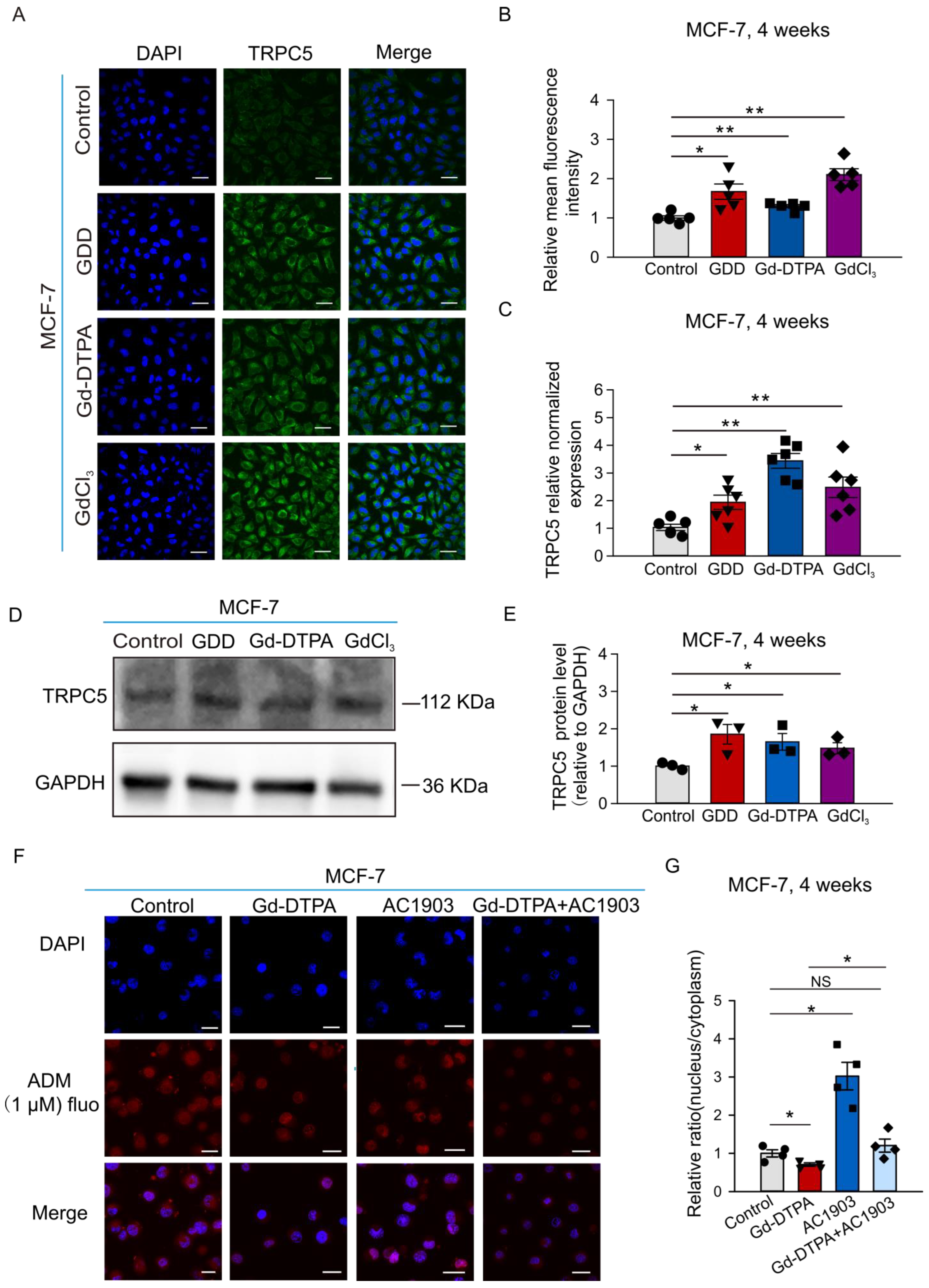 Cells 12 01304 g005 Cells 12 01304 g005