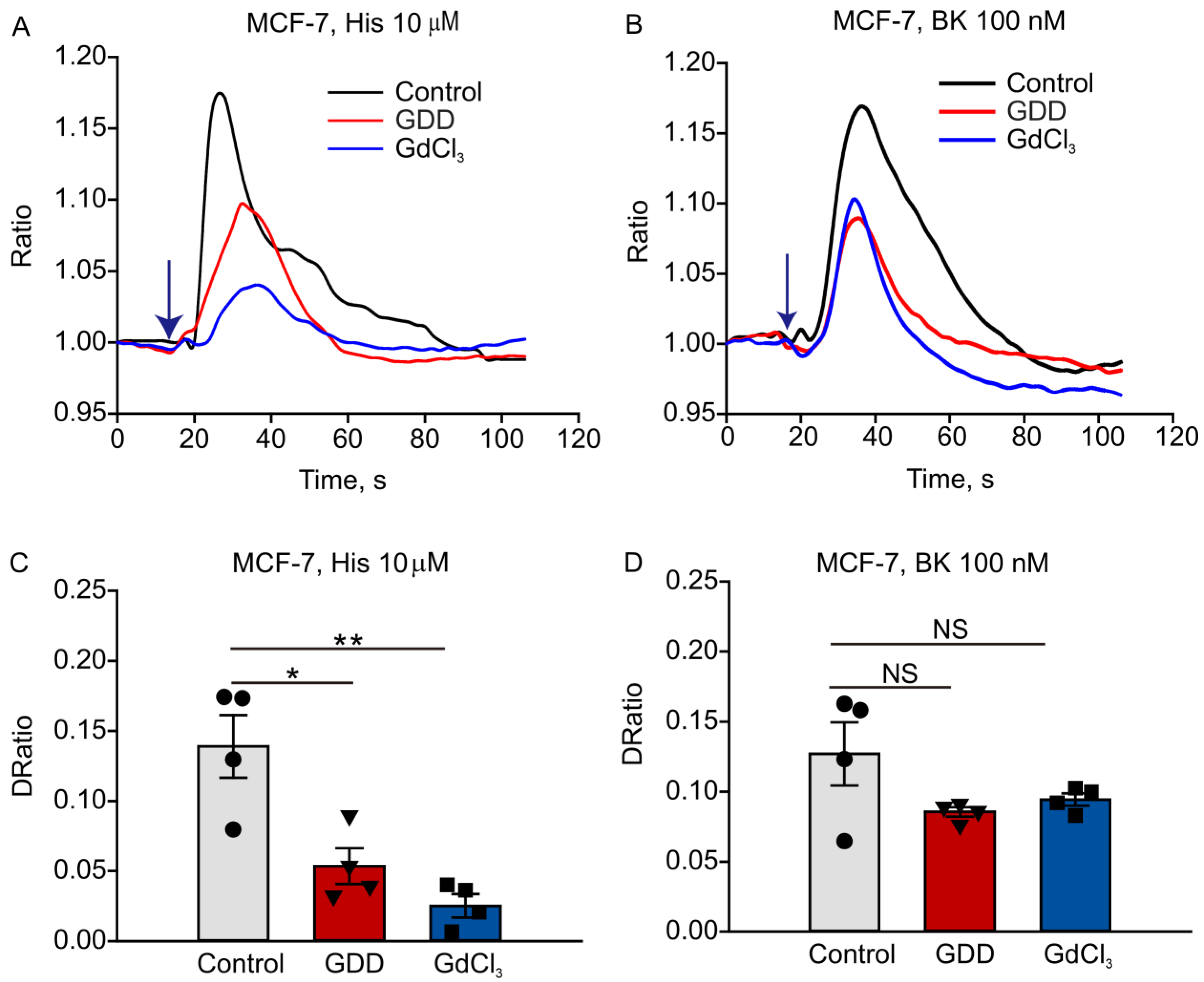 Cells 12 01304 g006 Cells 12 01304 g006