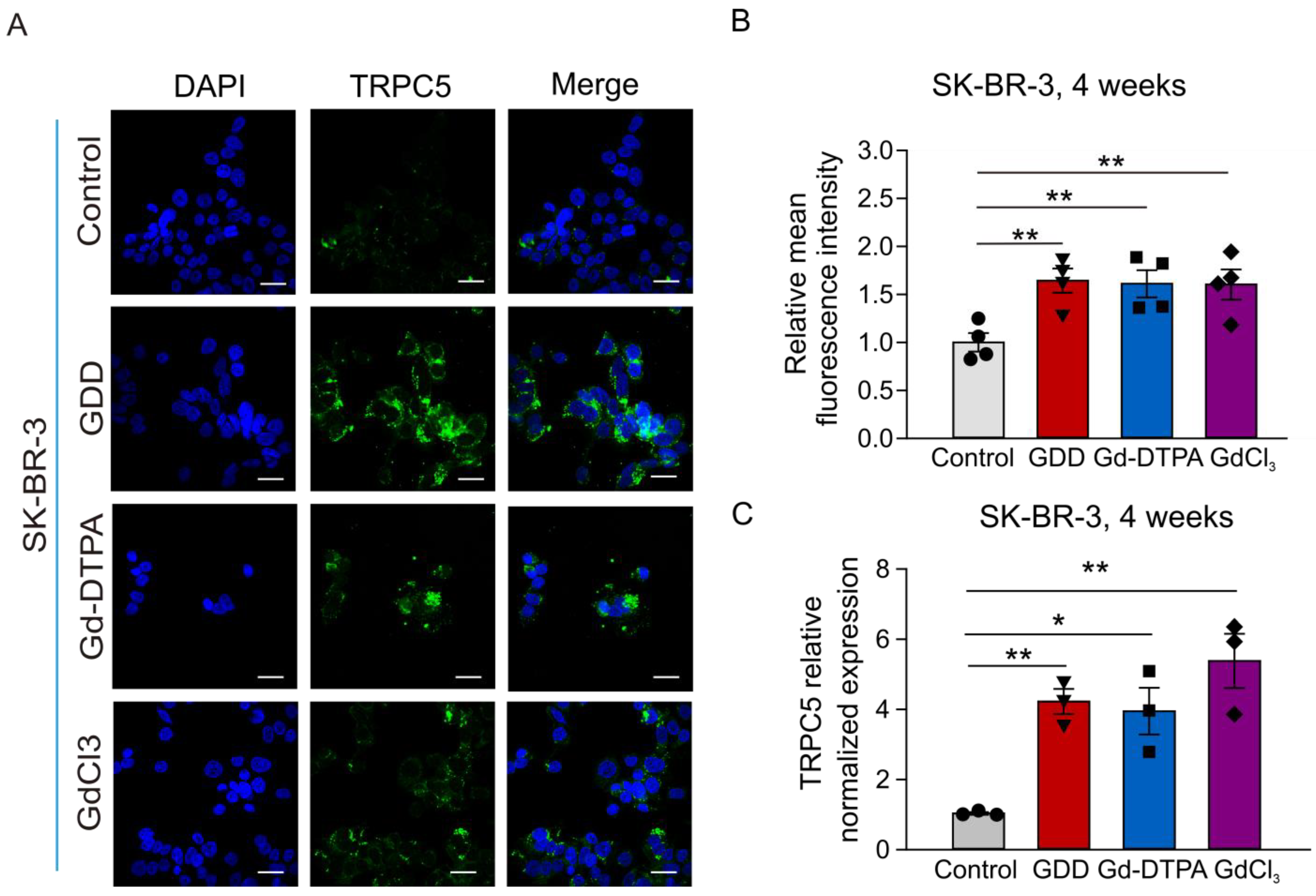 Cells 12 01304 g008 Cells 12 01304 g008