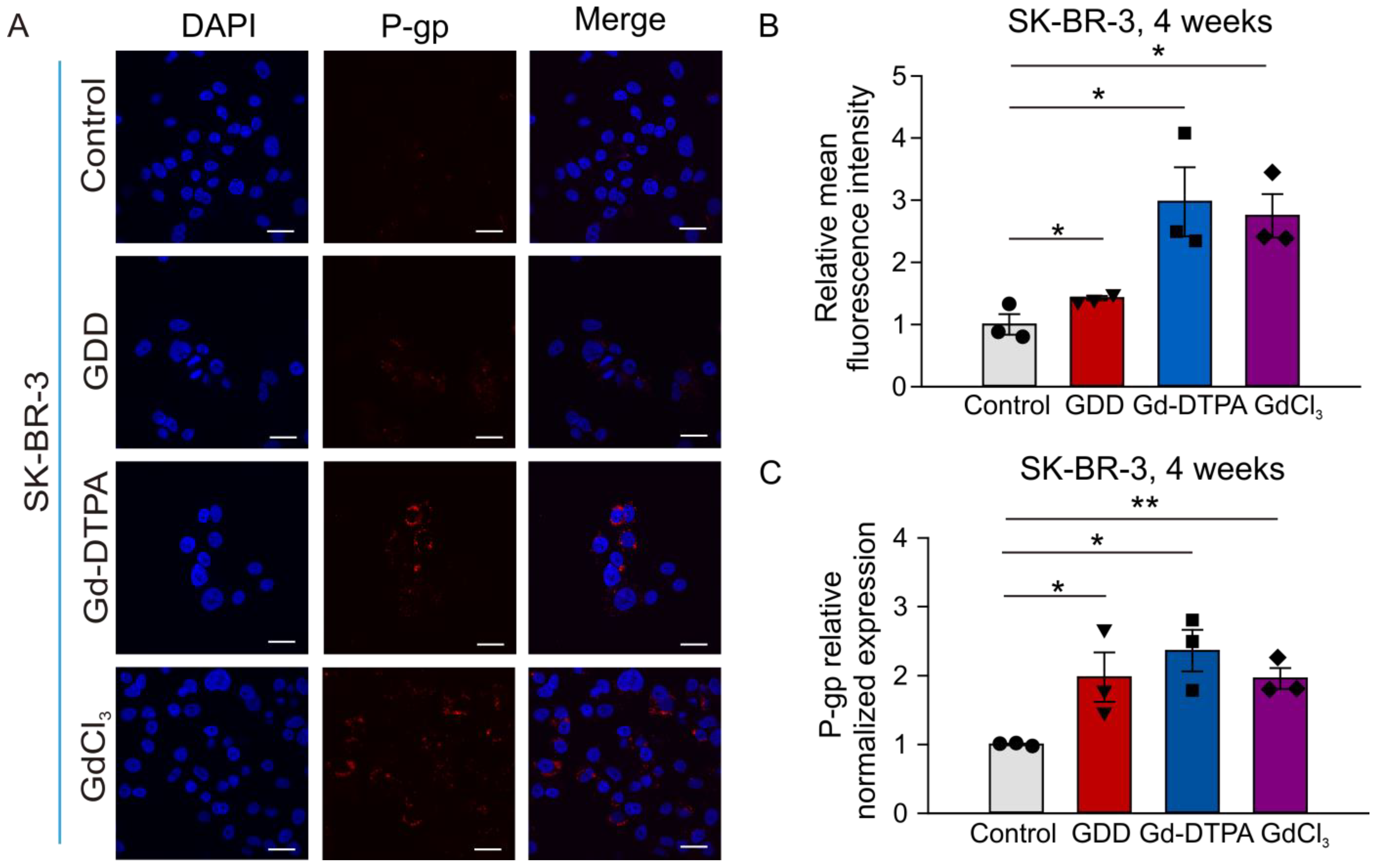 Cells 12 01304 g009 Cells 12 01304 g009