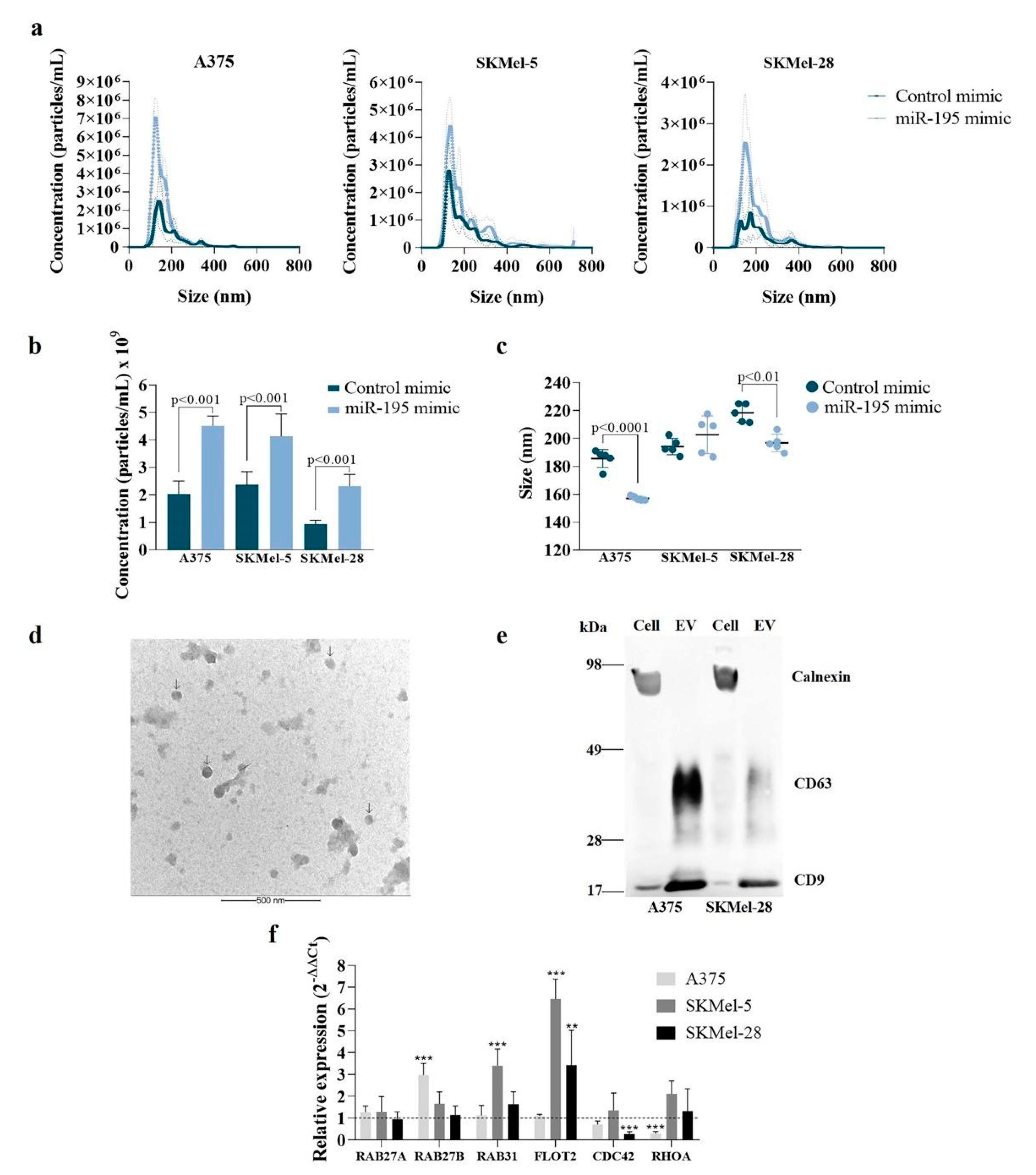 Cells 12 01317 g001 Cells 12 01317 g001