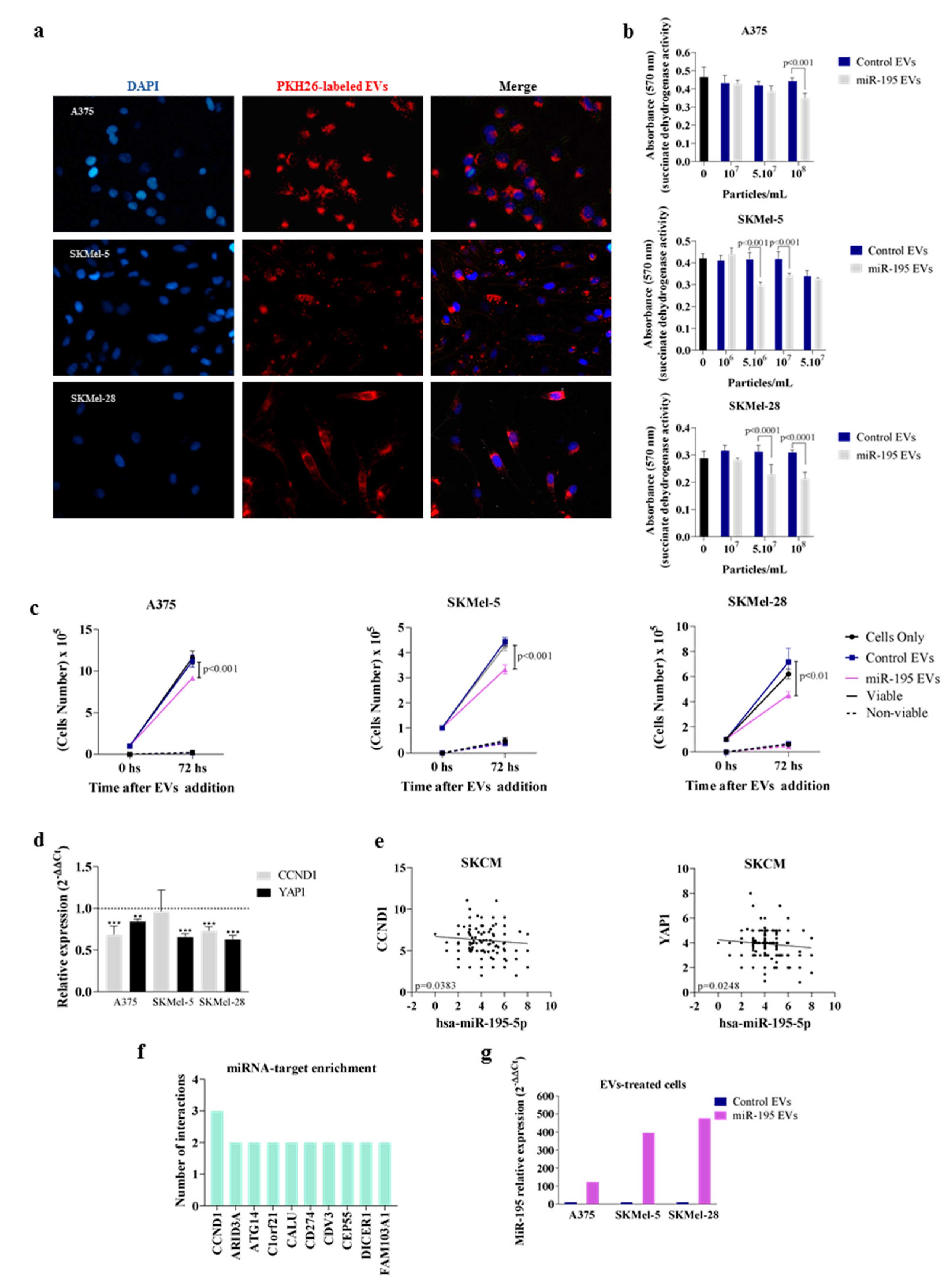 Cells 12 01317 g003 Cells 12 01317 g003