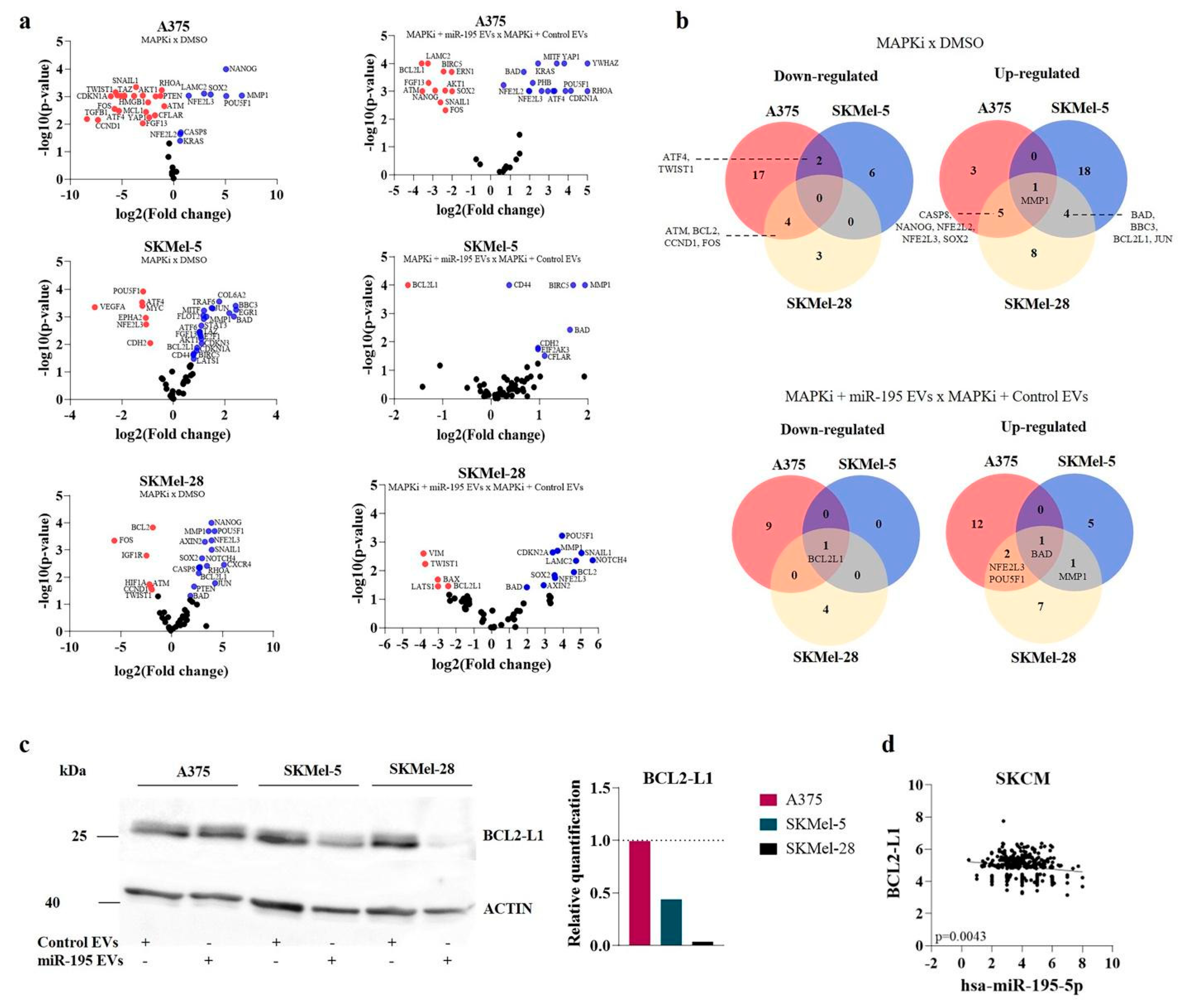 Cells 12 01317 g005 Cells 12 01317 g005
