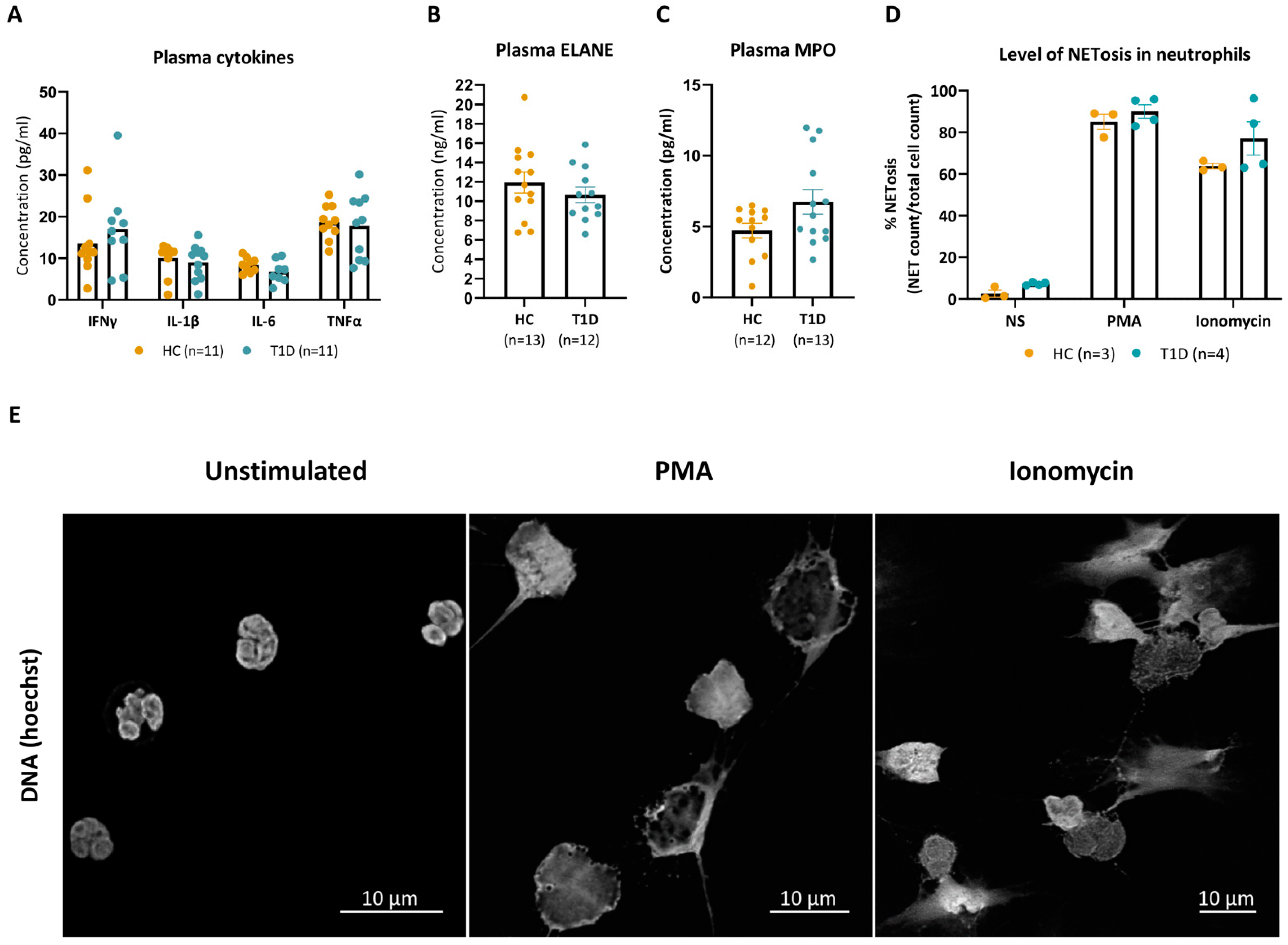 Cells 12 01319 g001 Cells 12 01319 g001