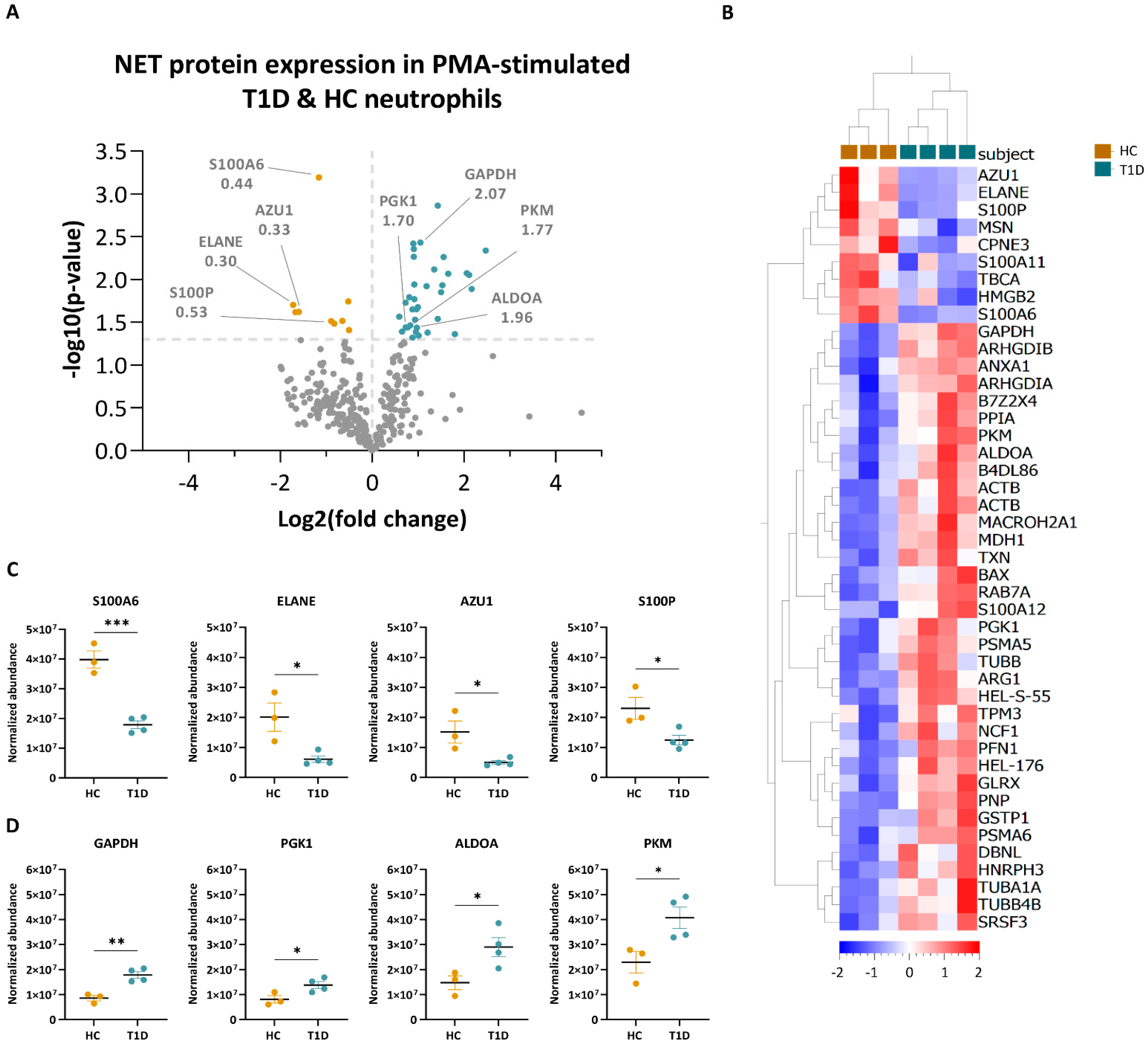 Cells 12 01319 g005 Cells 12 01319 g005