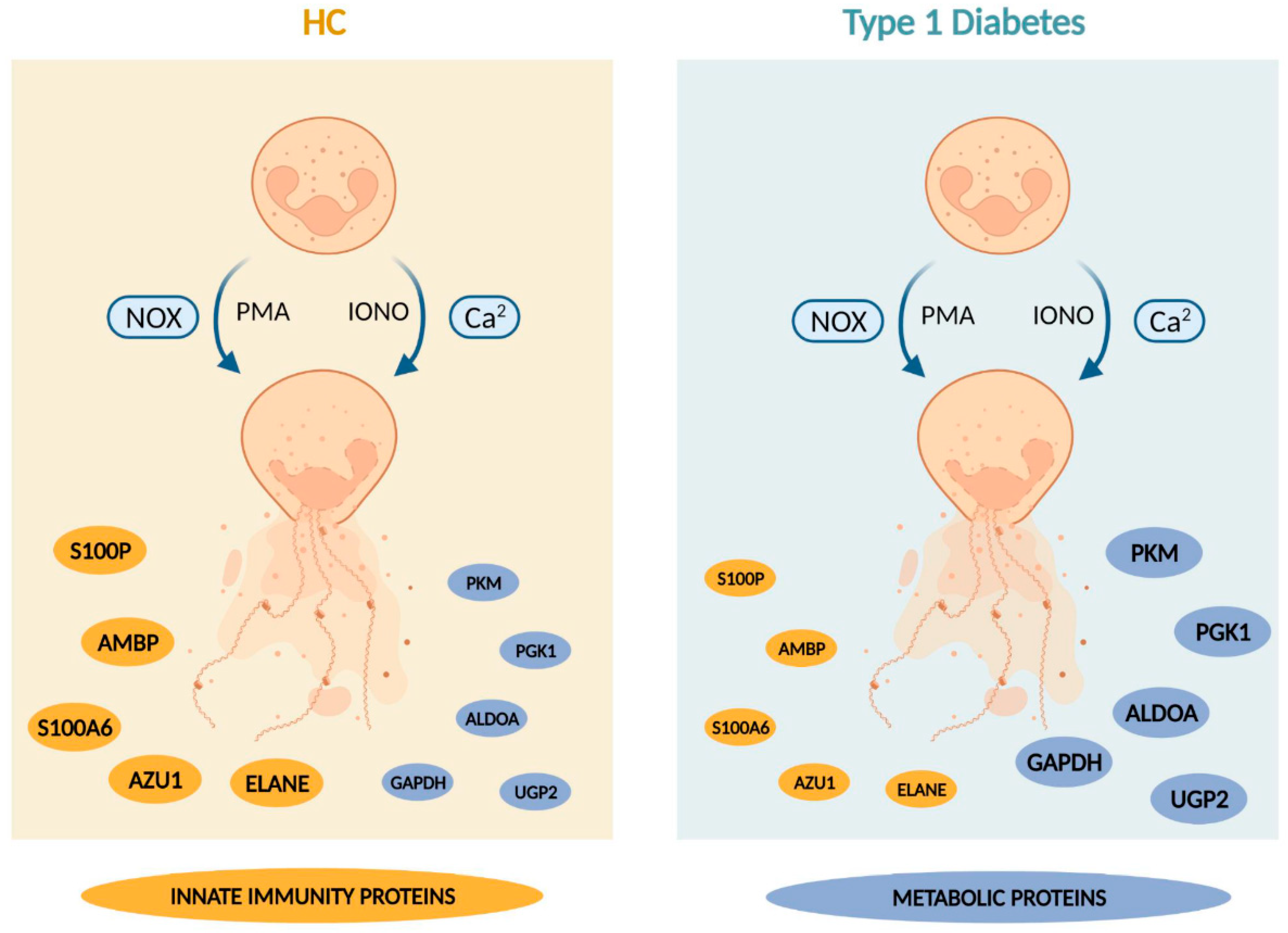 Cells 12 01319 g009 Cells 12 01319 g009