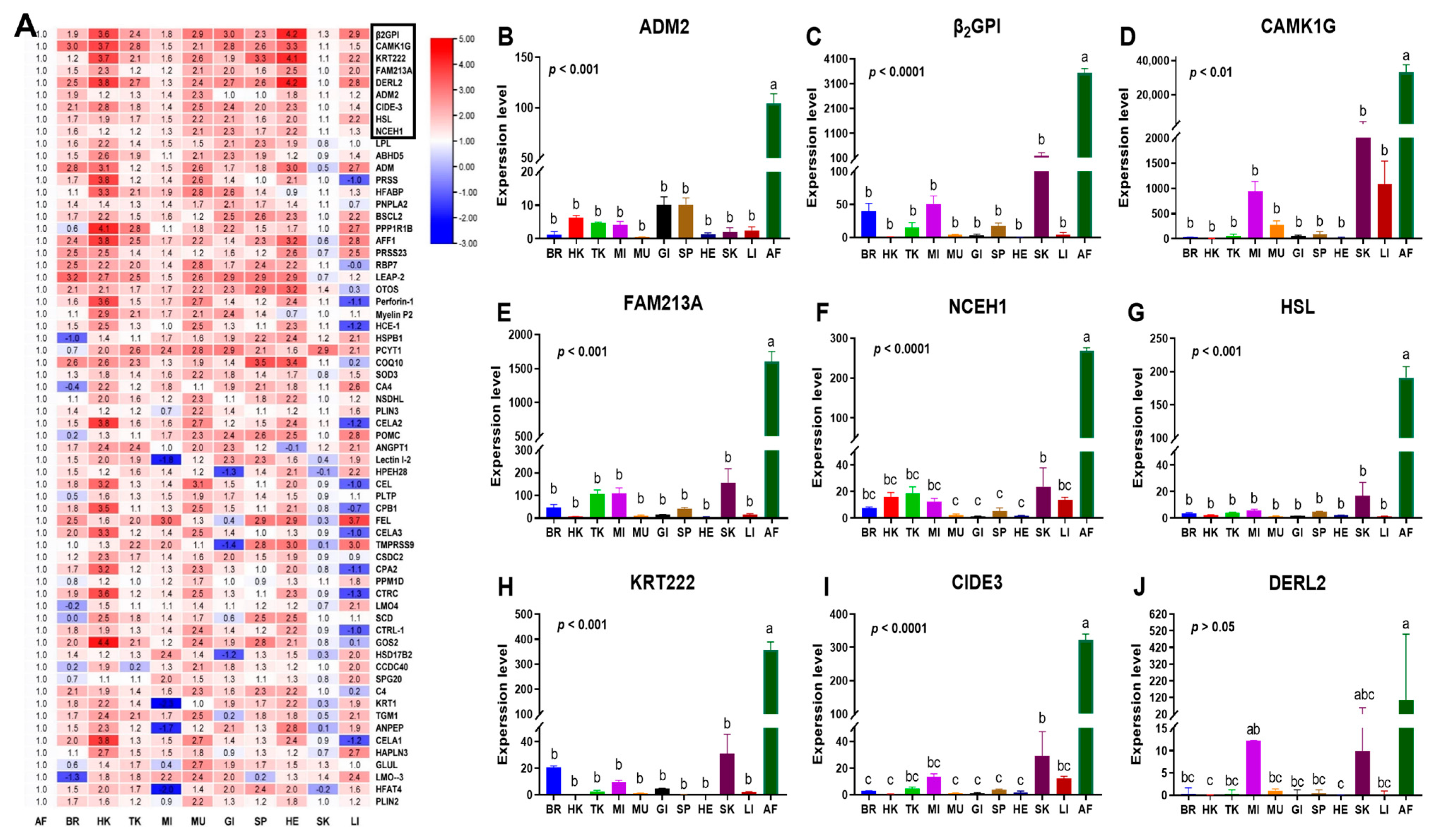 Cells 12 01328 g004 Cells 12 01328 g004
