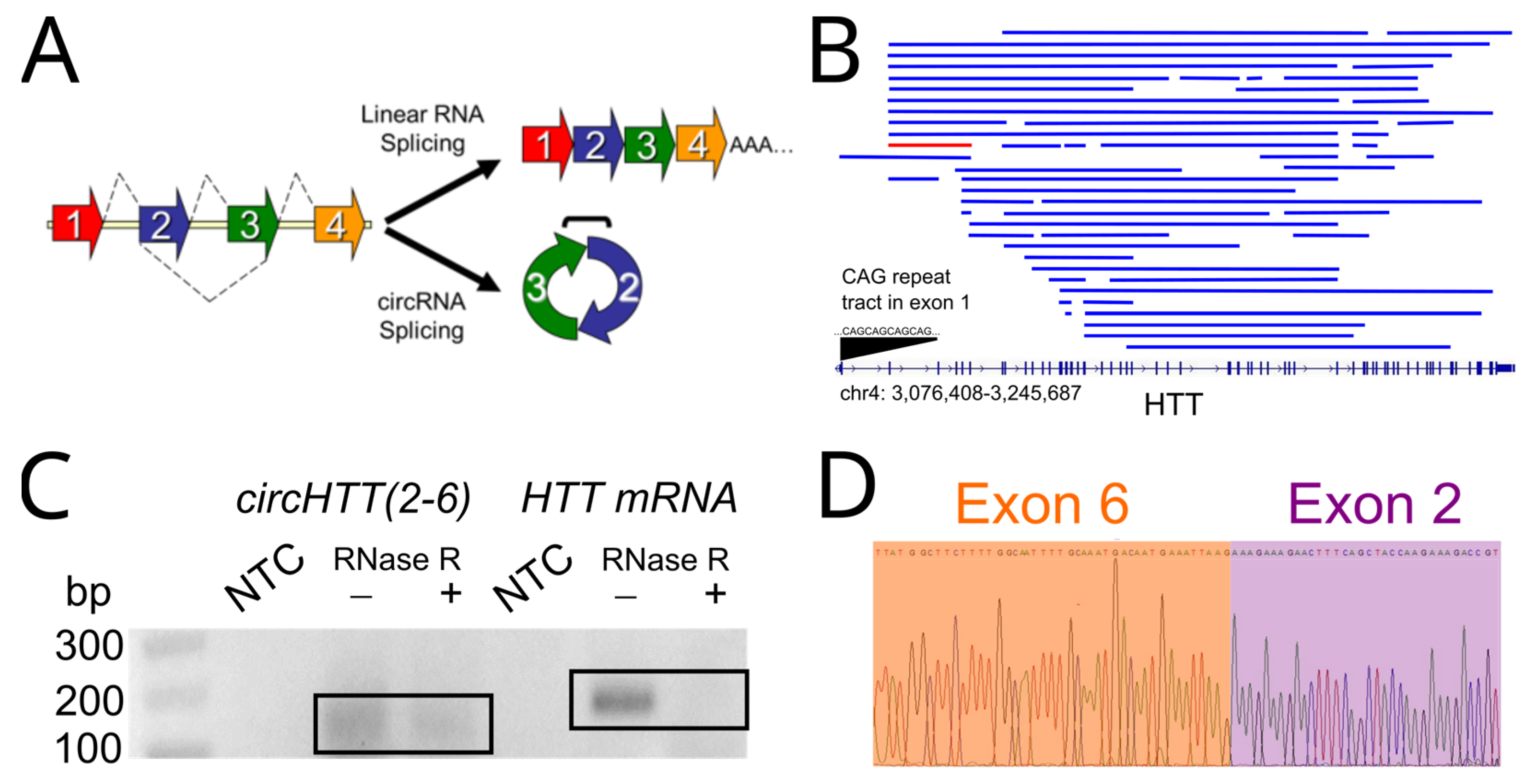 Cells 12 01337 g001 Cells 12 01337 g001