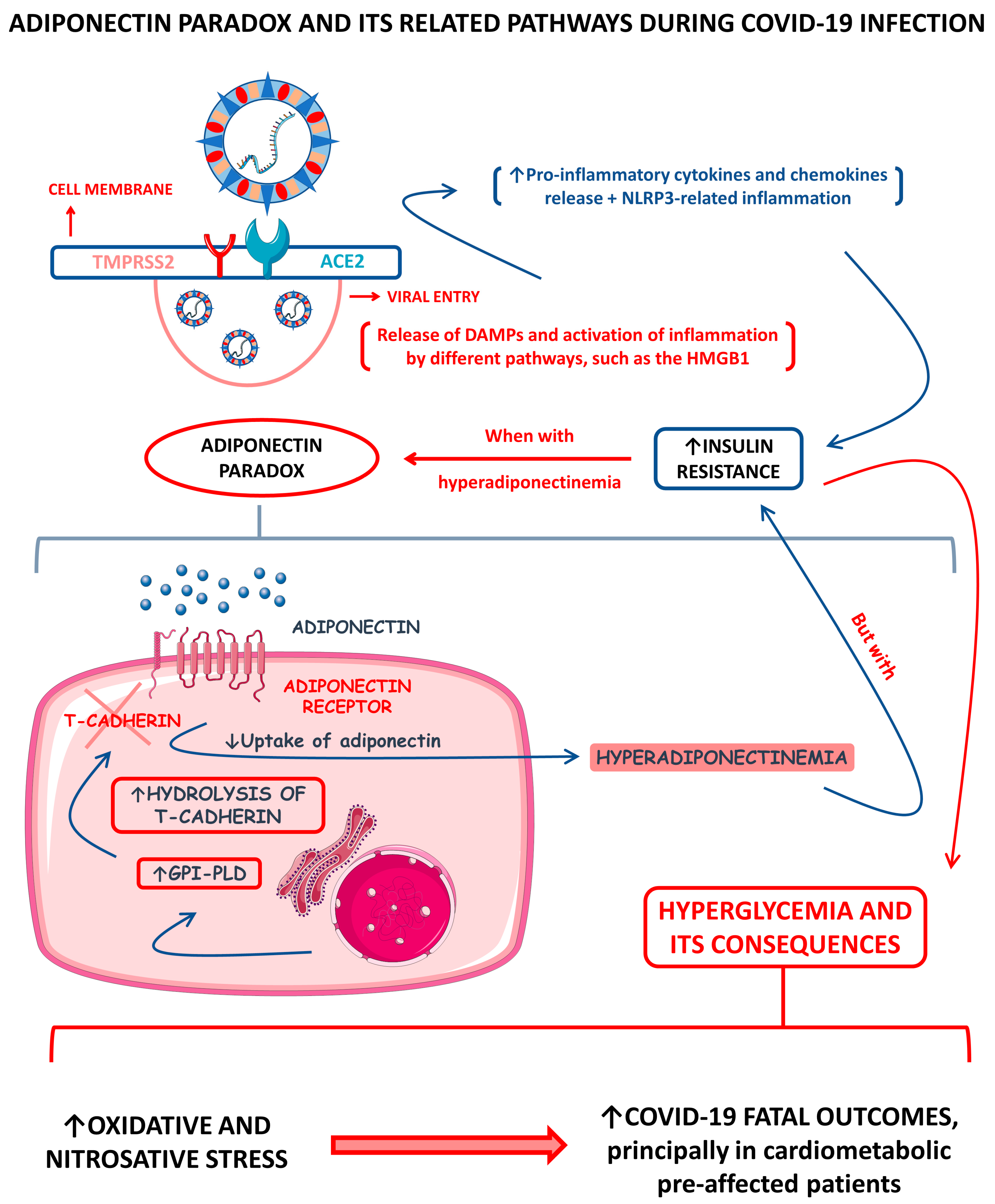 Cells 12 01349 g002 Cells 12 01349 g002