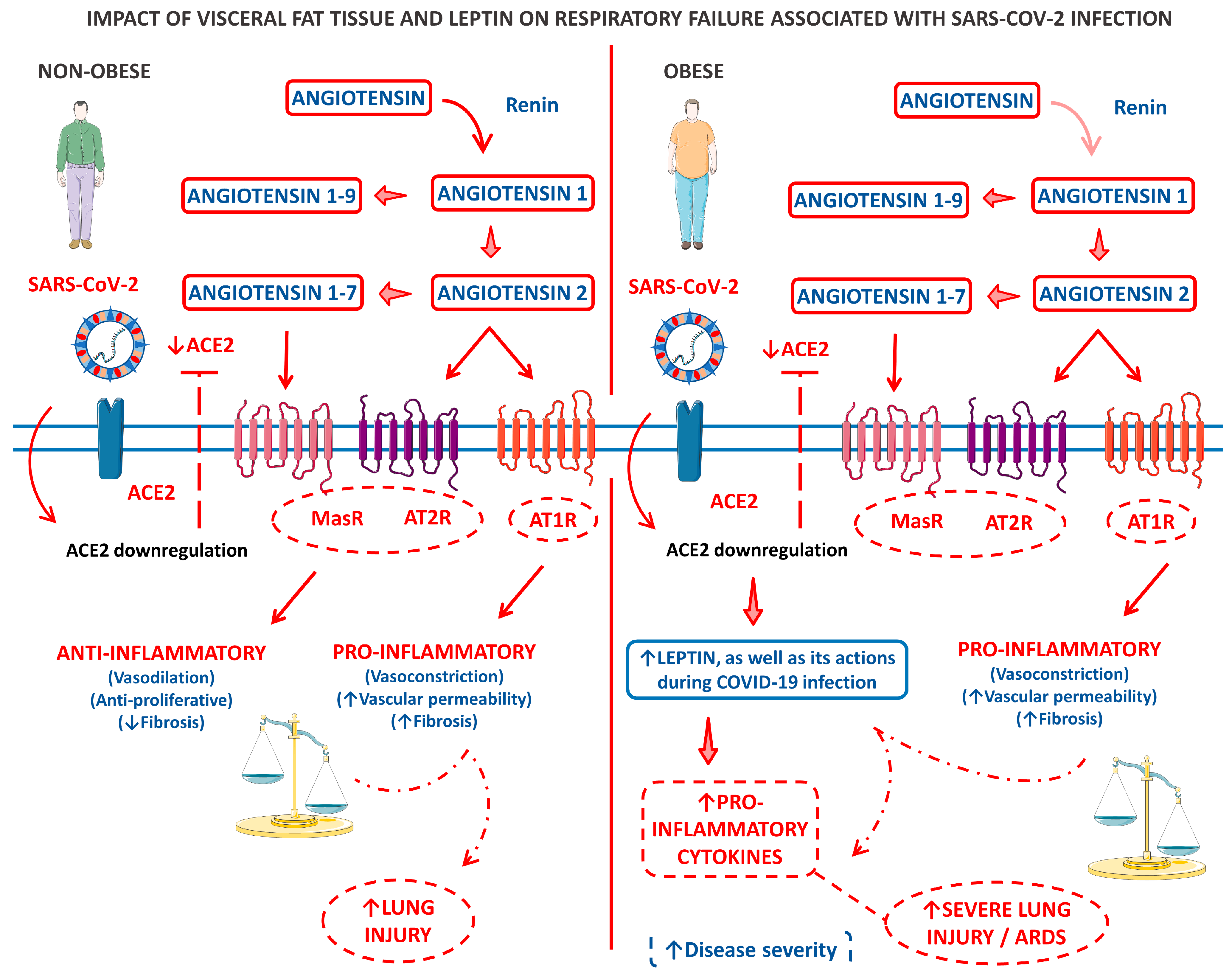 Cells 12 01349 g003 Cells 12 01349 g003