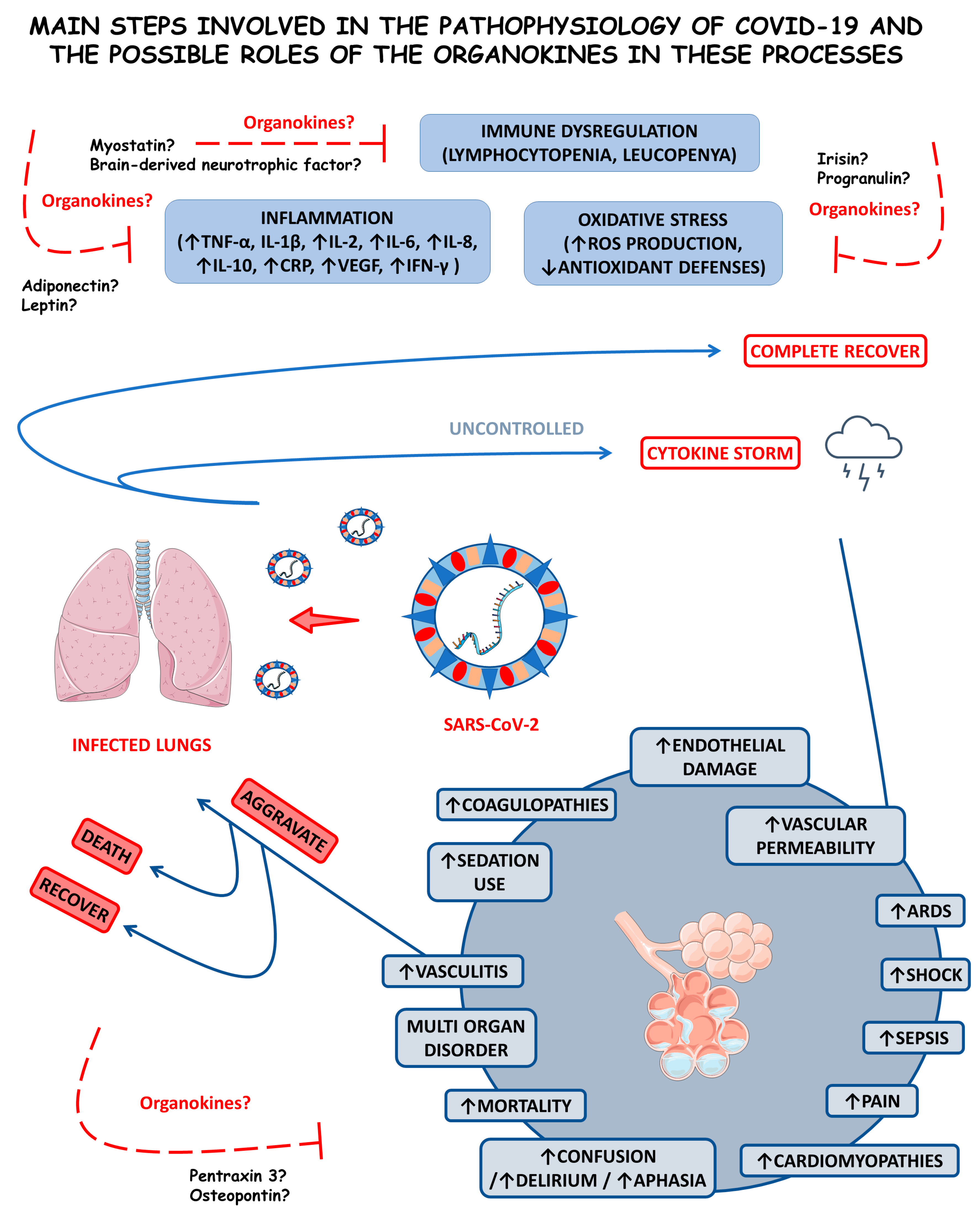 Cells 12 01349 g005 Cells 12 01349 g005