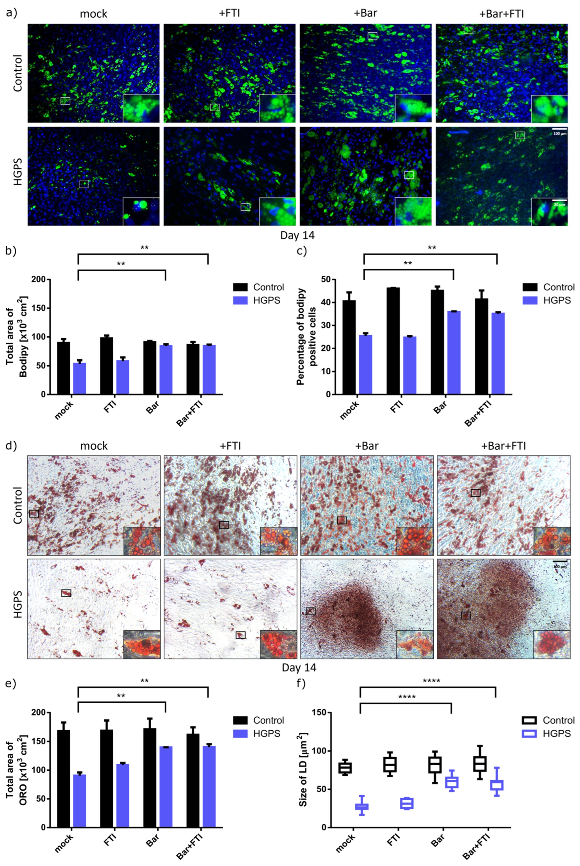 Cells 12 01350 g003 Cells 12 01350 g003