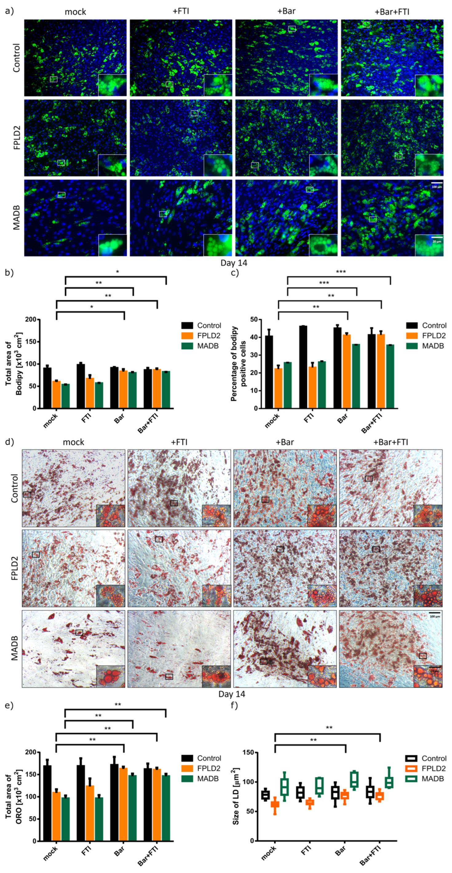 Cells 12 01350 g005 Cells 12 01350 g005