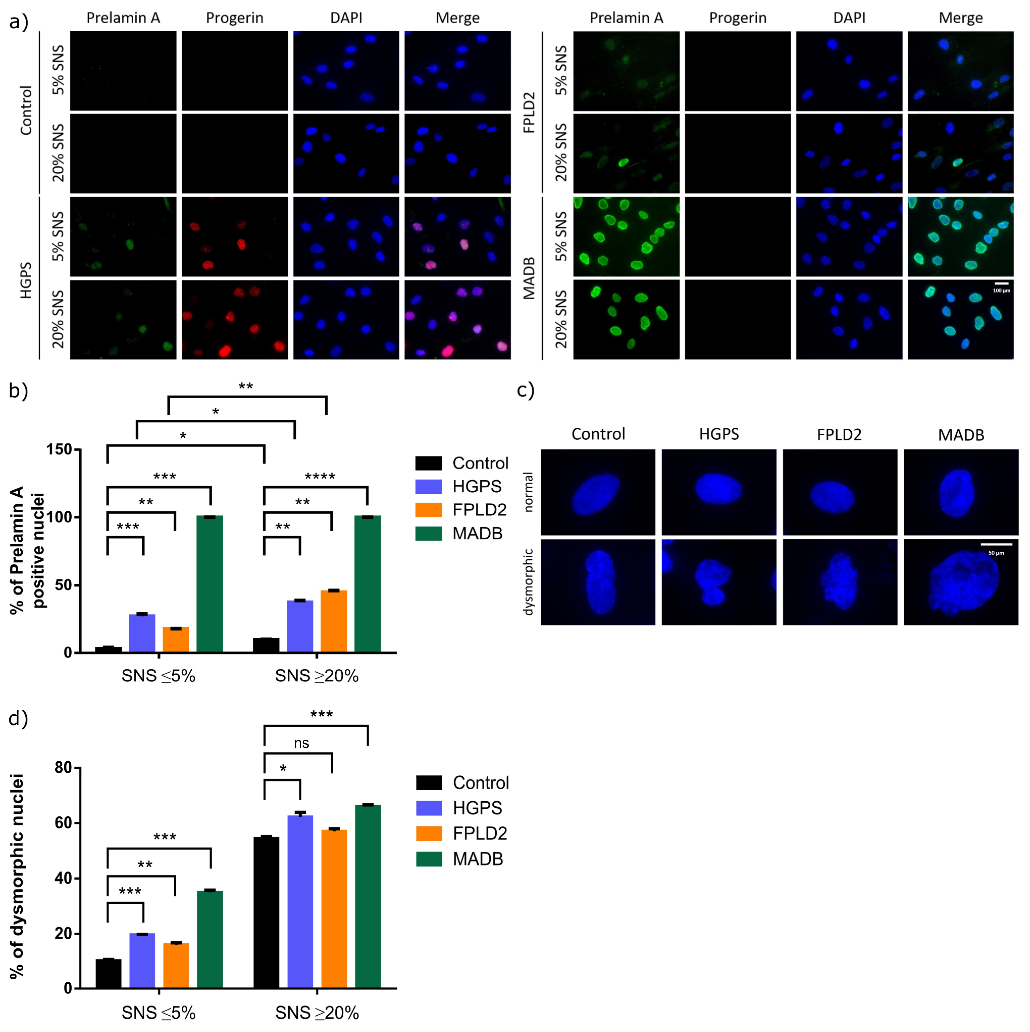 Cells 12 01350 g006 Cells 12 01350 g006