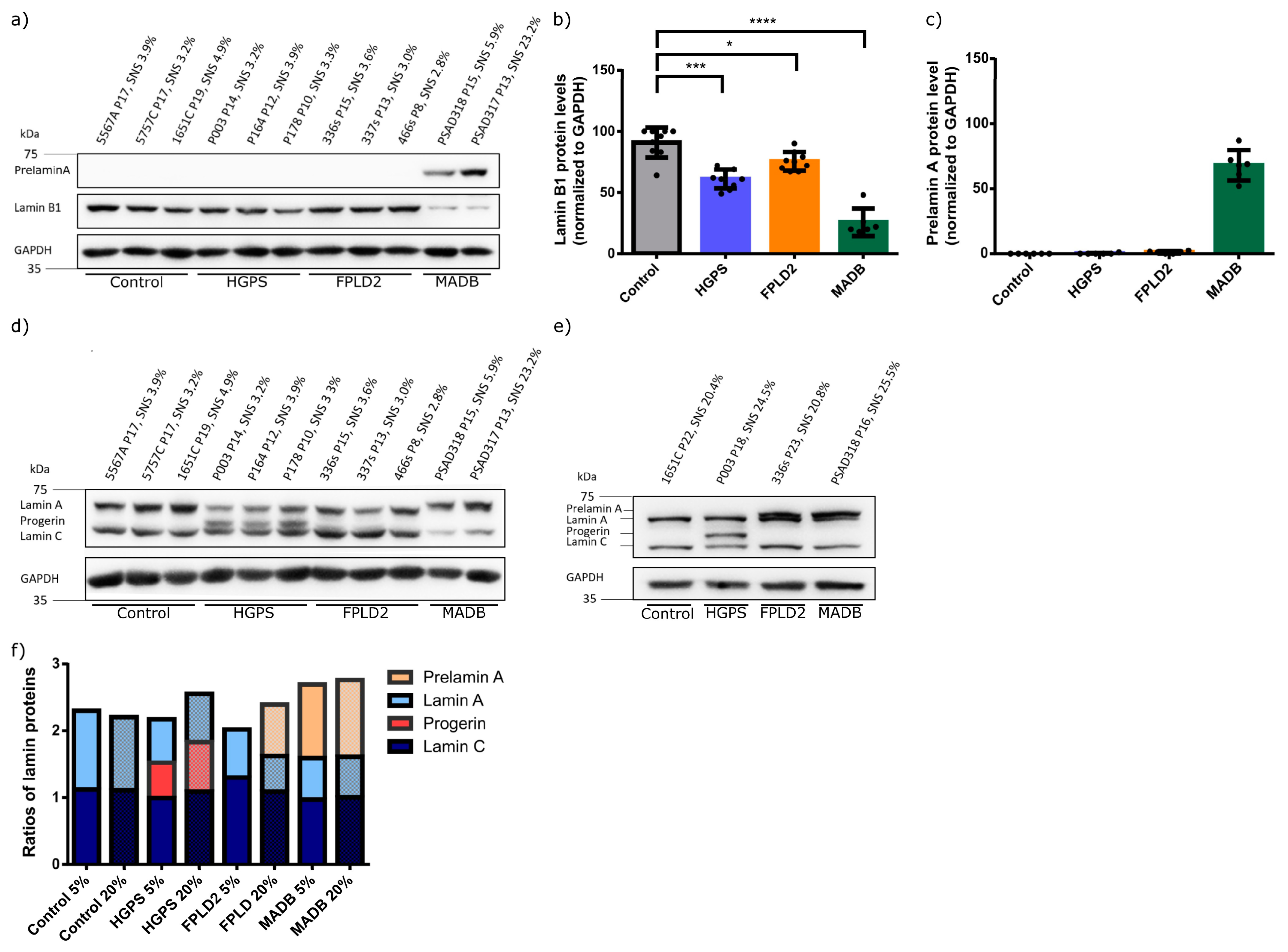 Cells 12 01350 g007 Cells 12 01350 g007