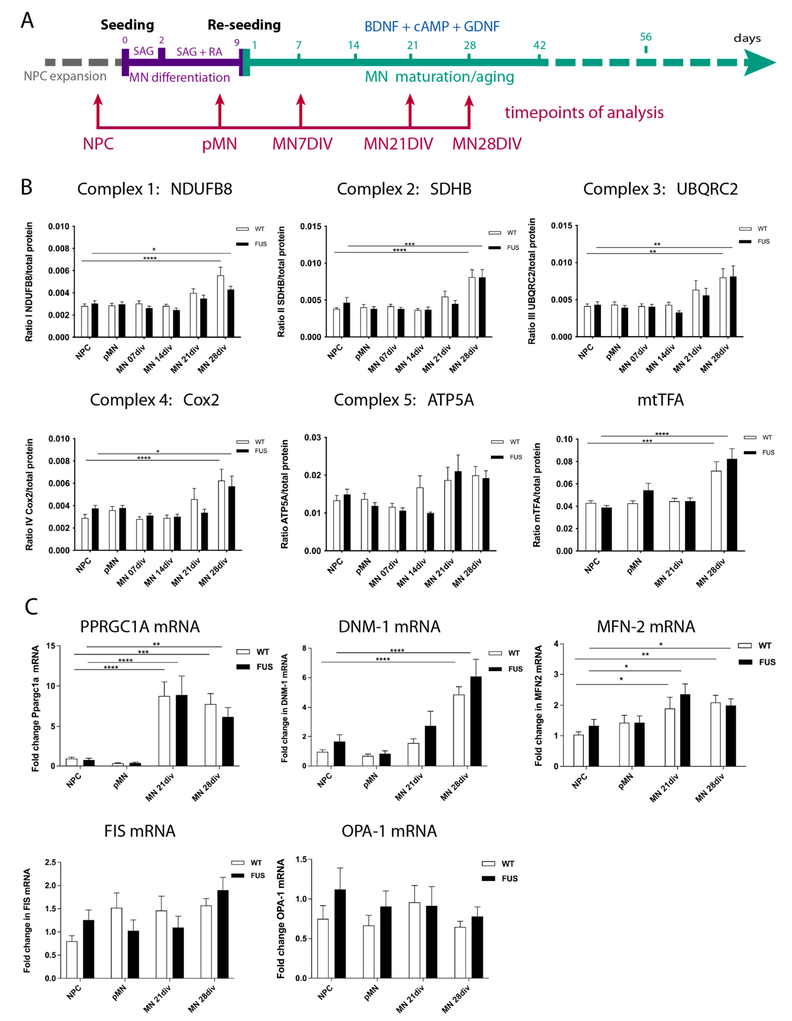 Cells 12 01352 g002 Cells 12 01352 g002