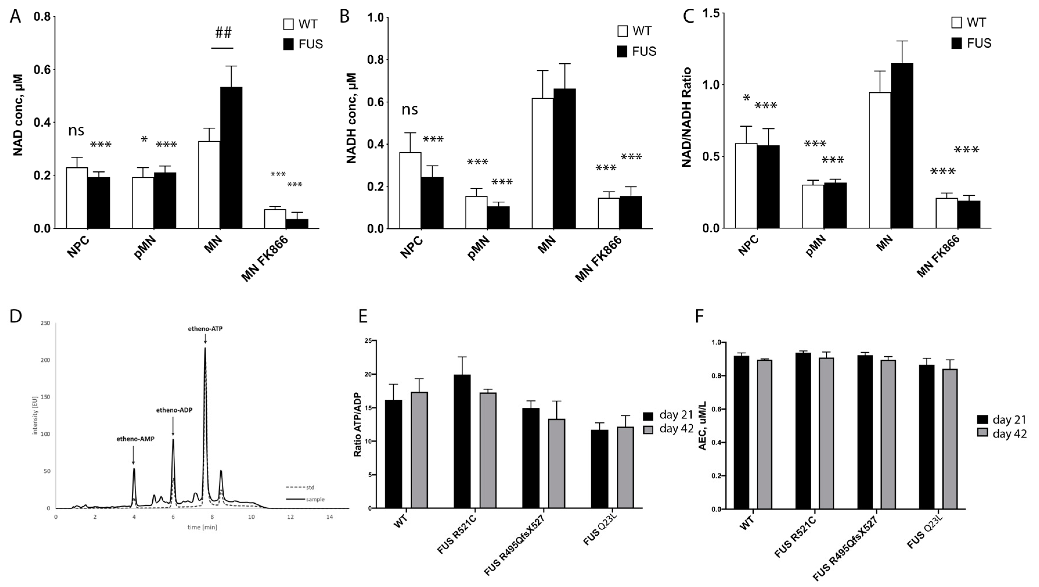 Cells 12 01352 g003 Cells 12 01352 g003