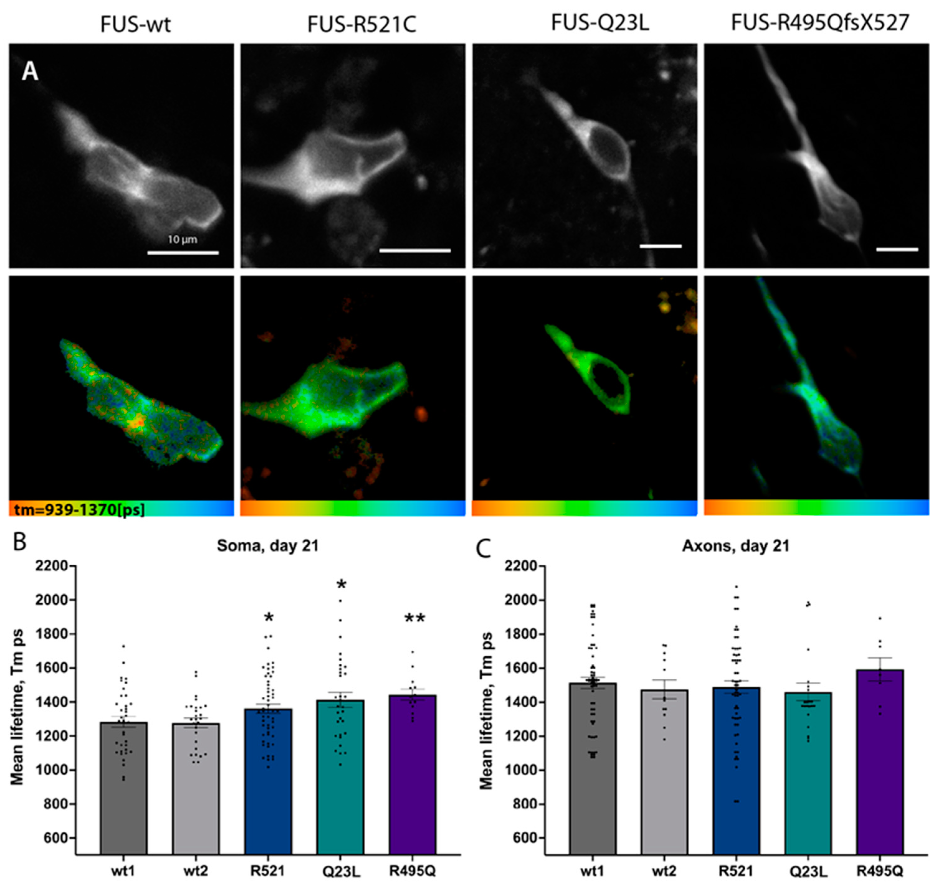 Cells 12 01352 g006 Cells 12 01352 g006