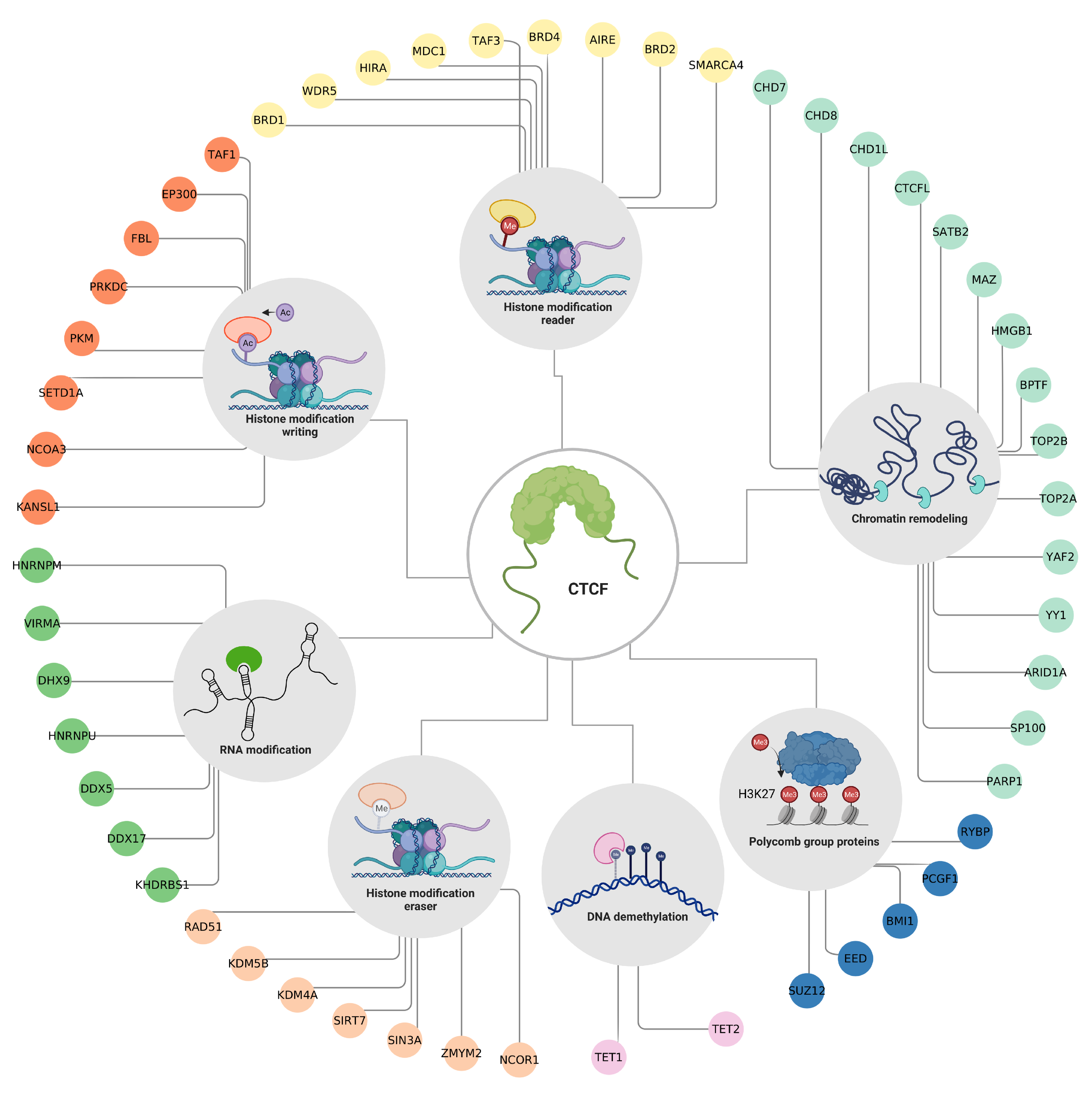 Cells 12 01357 g004 Cells 12 01357 g004