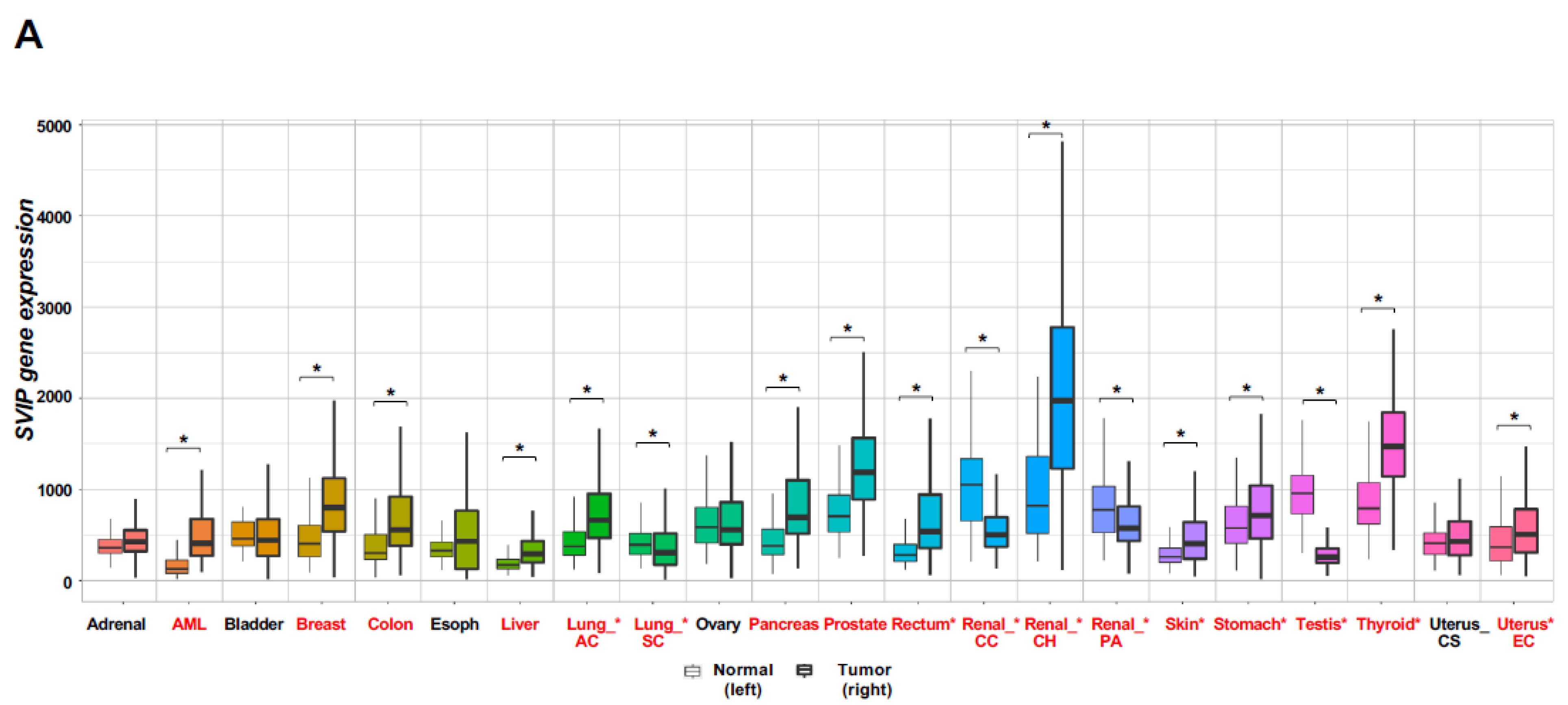 Cells 12 01362 g001a