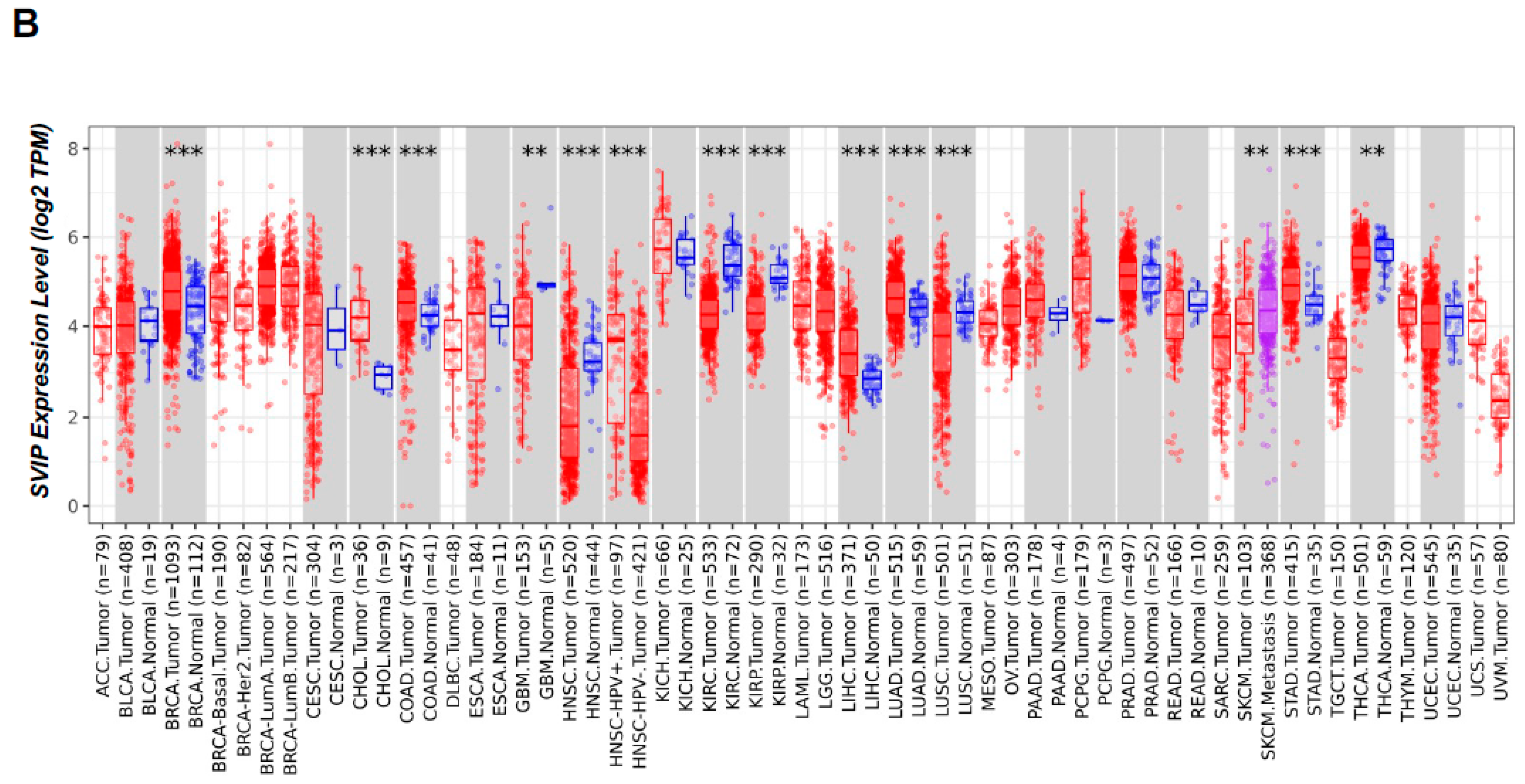 Cells 12 01362 g001b