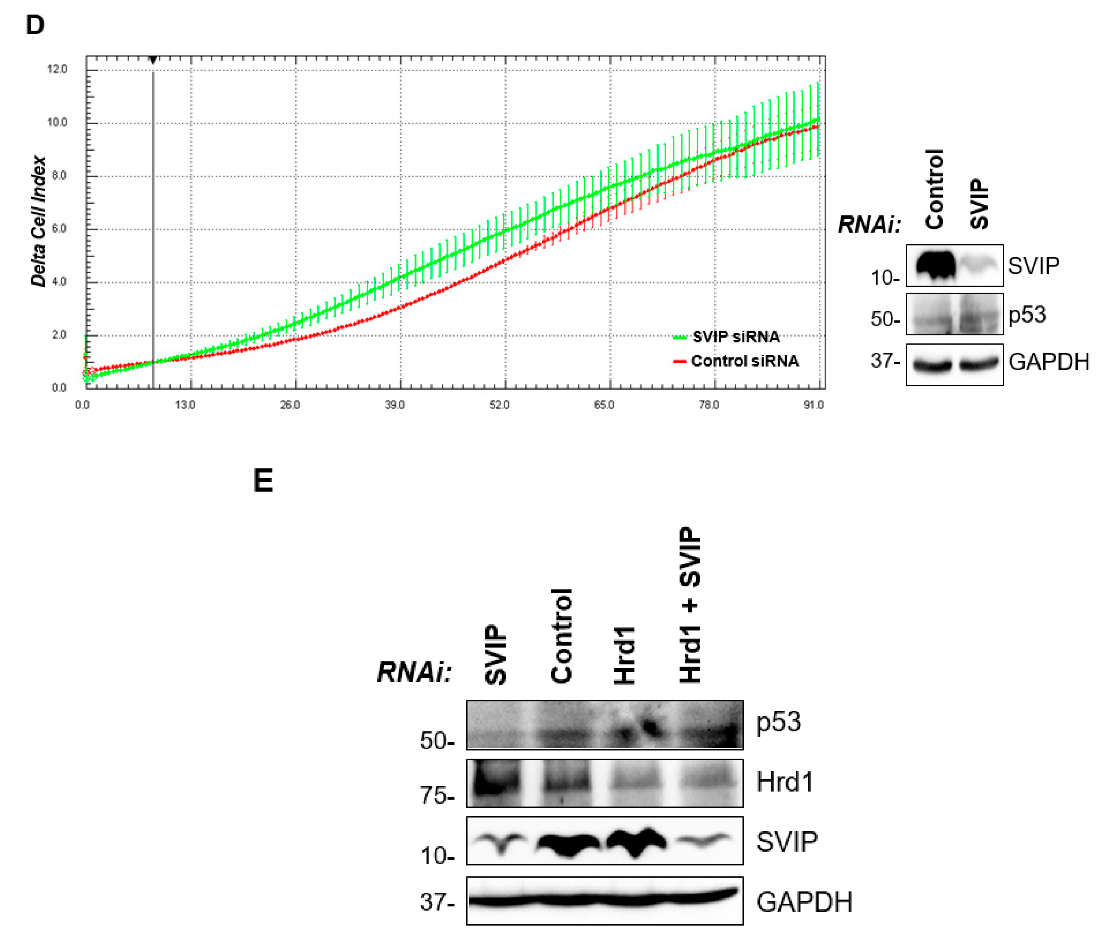 Cells 12 01362 g006b