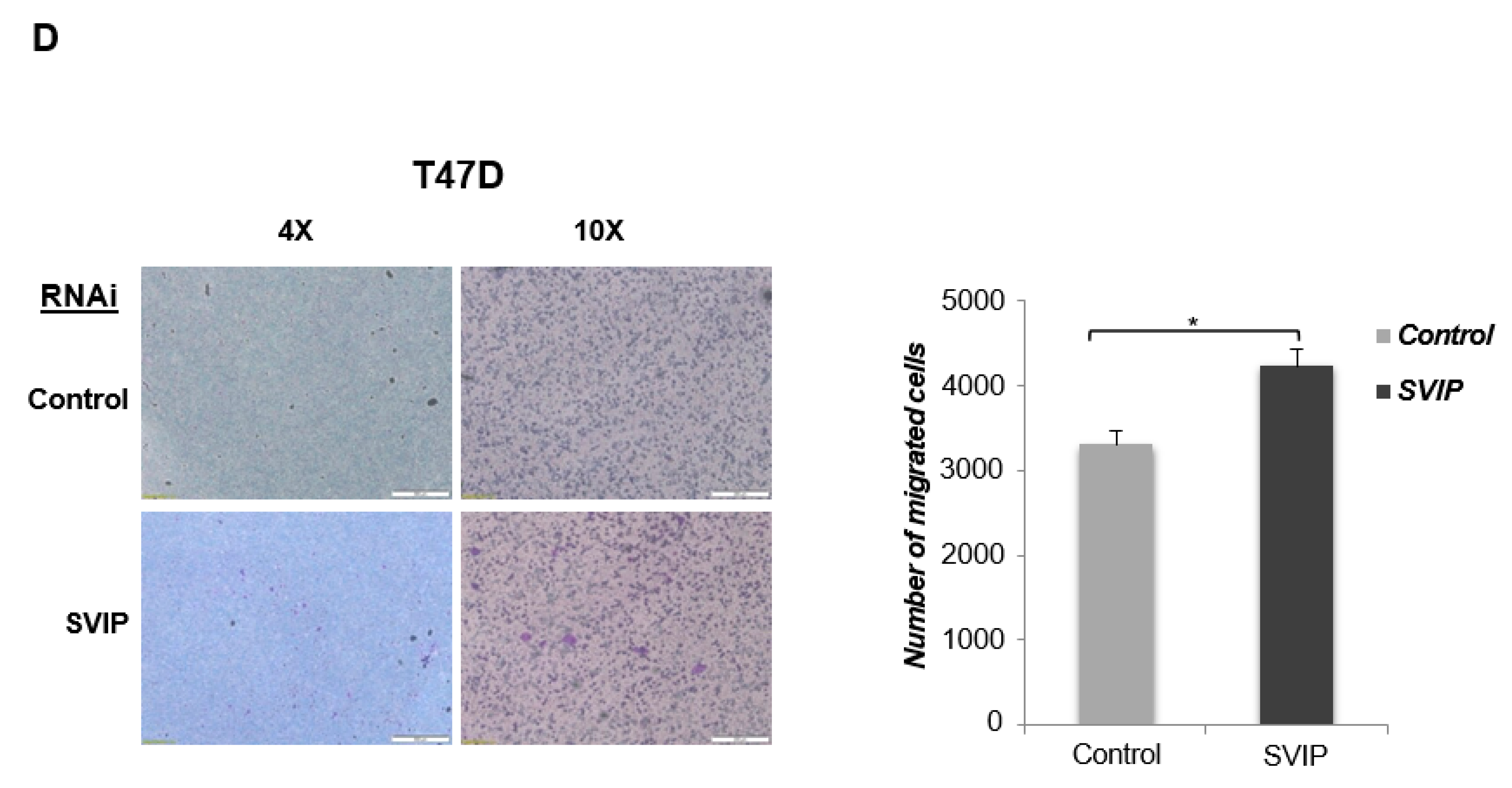 Cells 12 01362 g007b