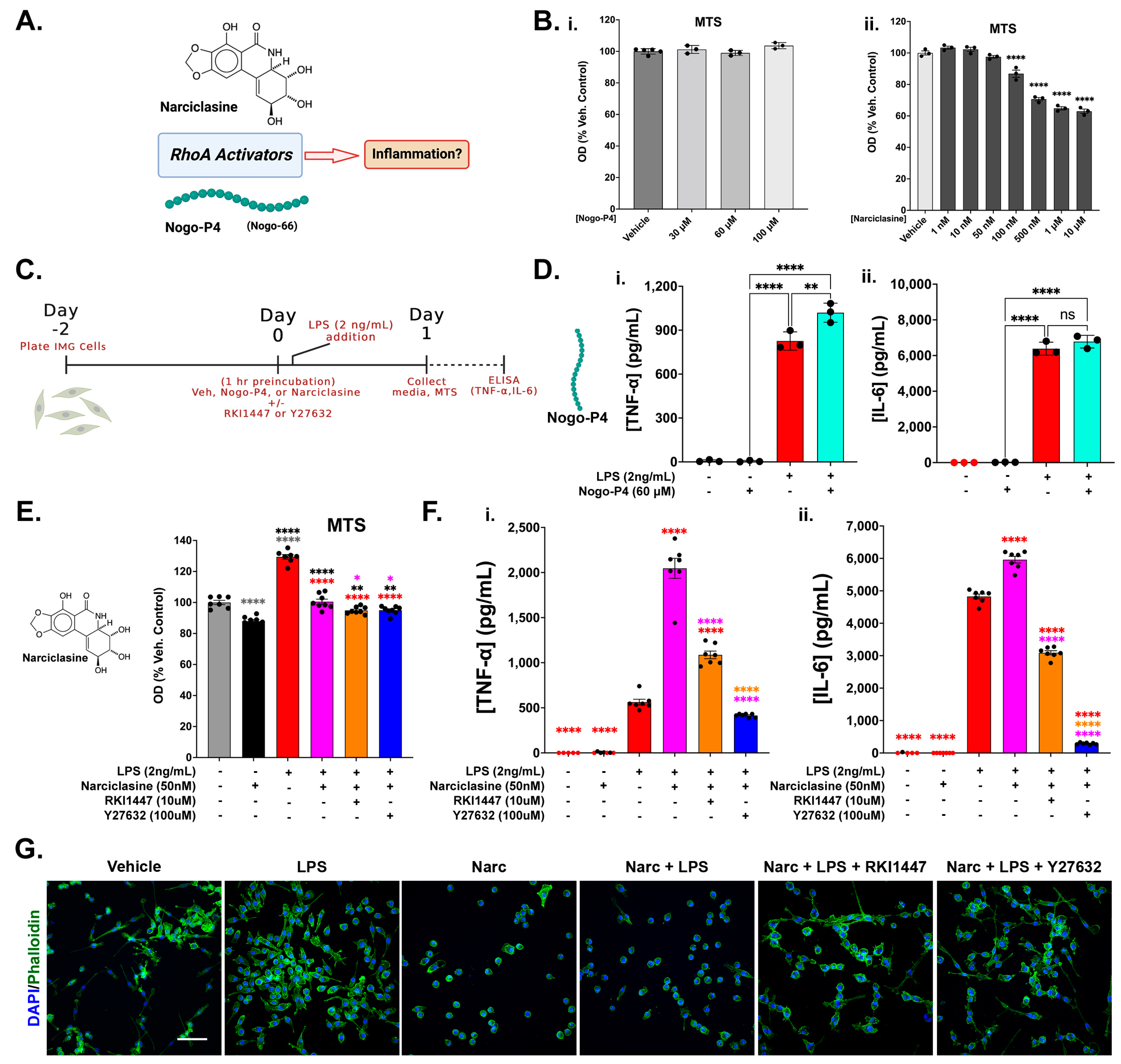 Cells 12 01367 g006 Cells 12 01367 g006