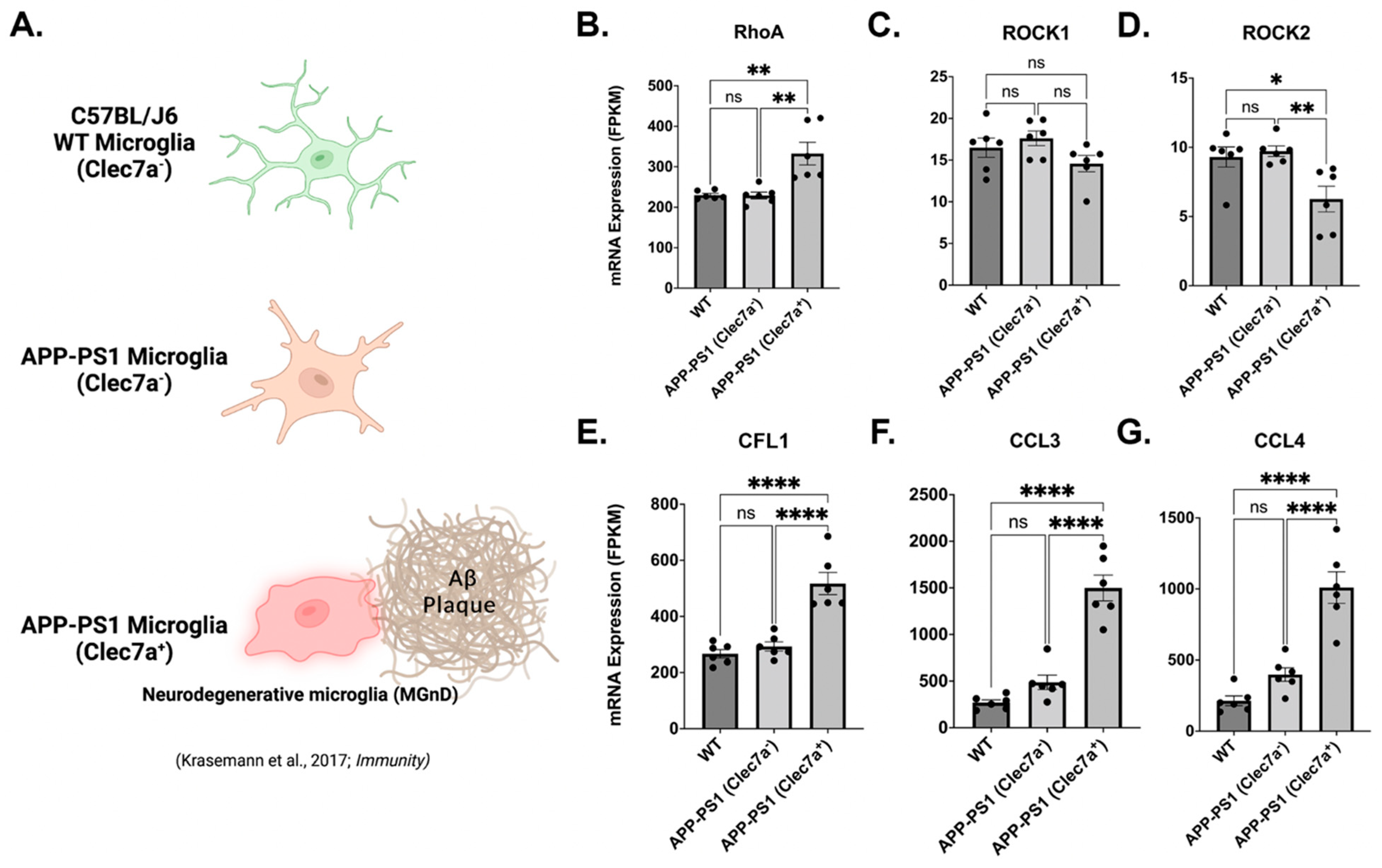 Cells 12 01367 g009 Cells 12 01367 g009
