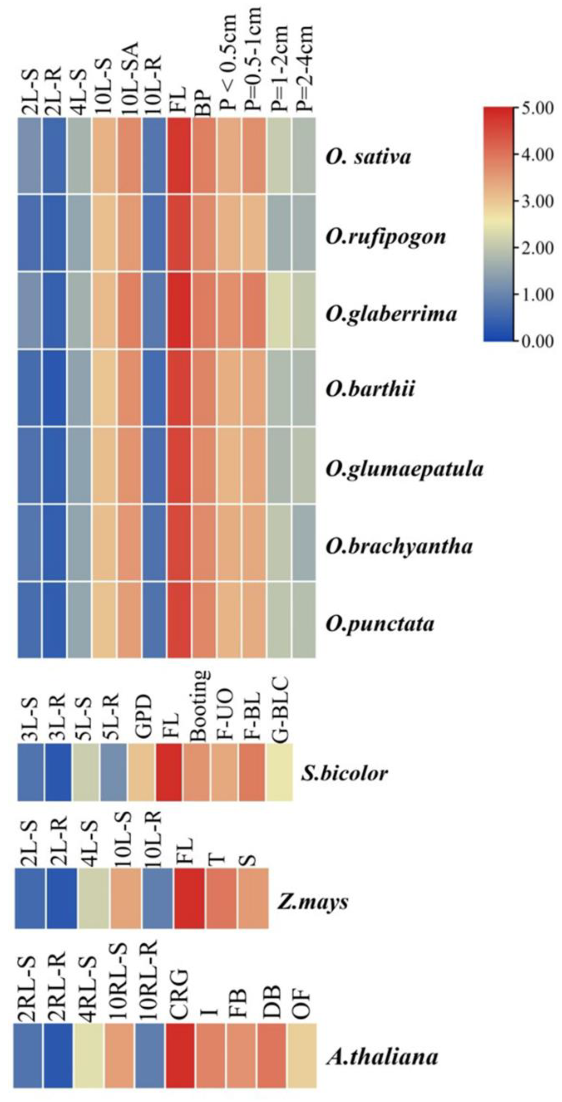 Cells 12 01370 g002 Cells 12 01370 g002