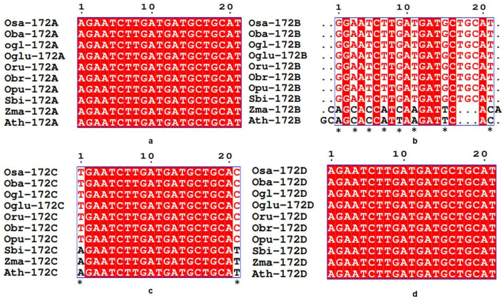 Cells 12 01370 g003 Cells 12 01370 g003