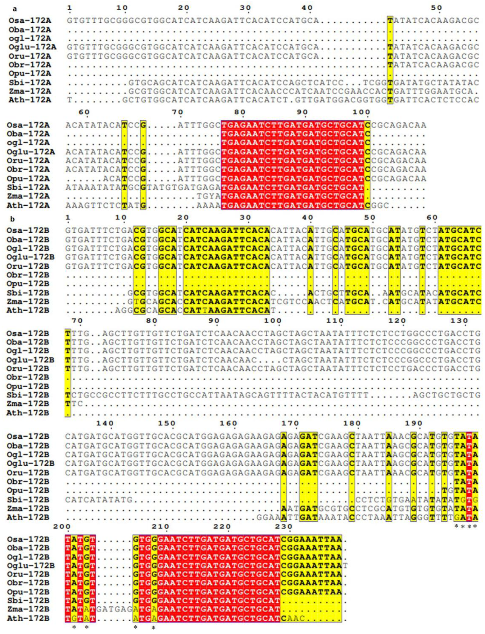 Cells 12 01370 g004 Cells 12 01370 g004