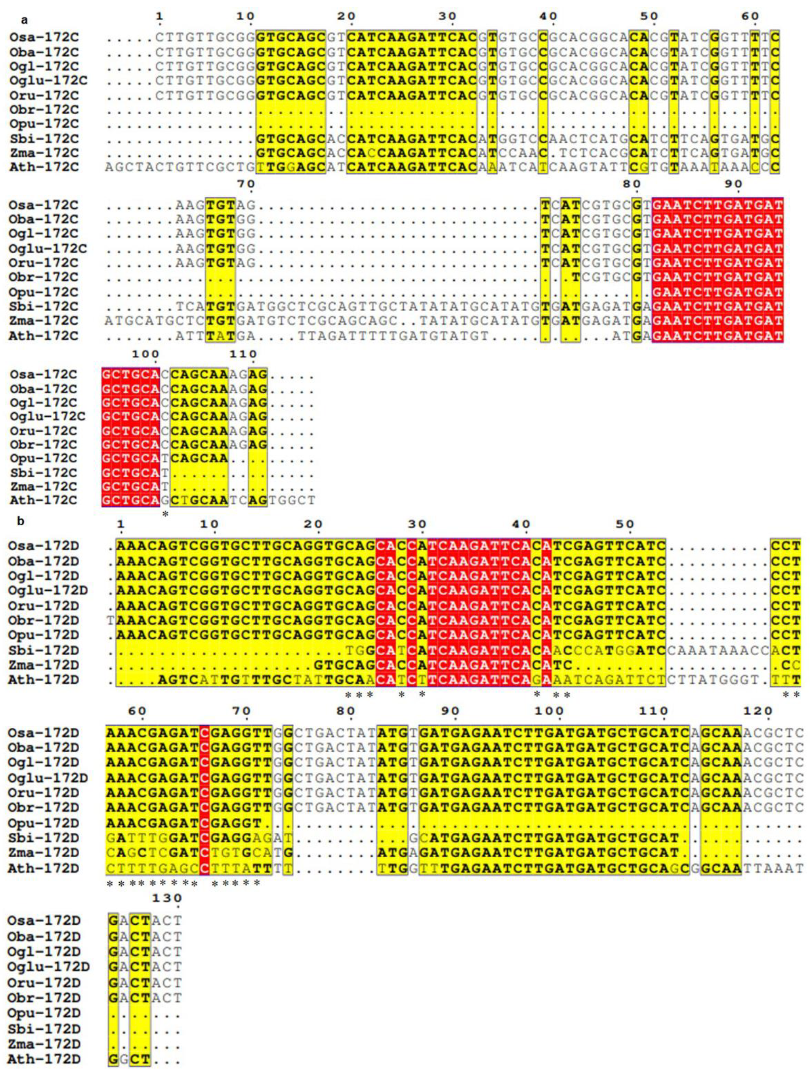 Cells 12 01370 g005 Cells 12 01370 g005