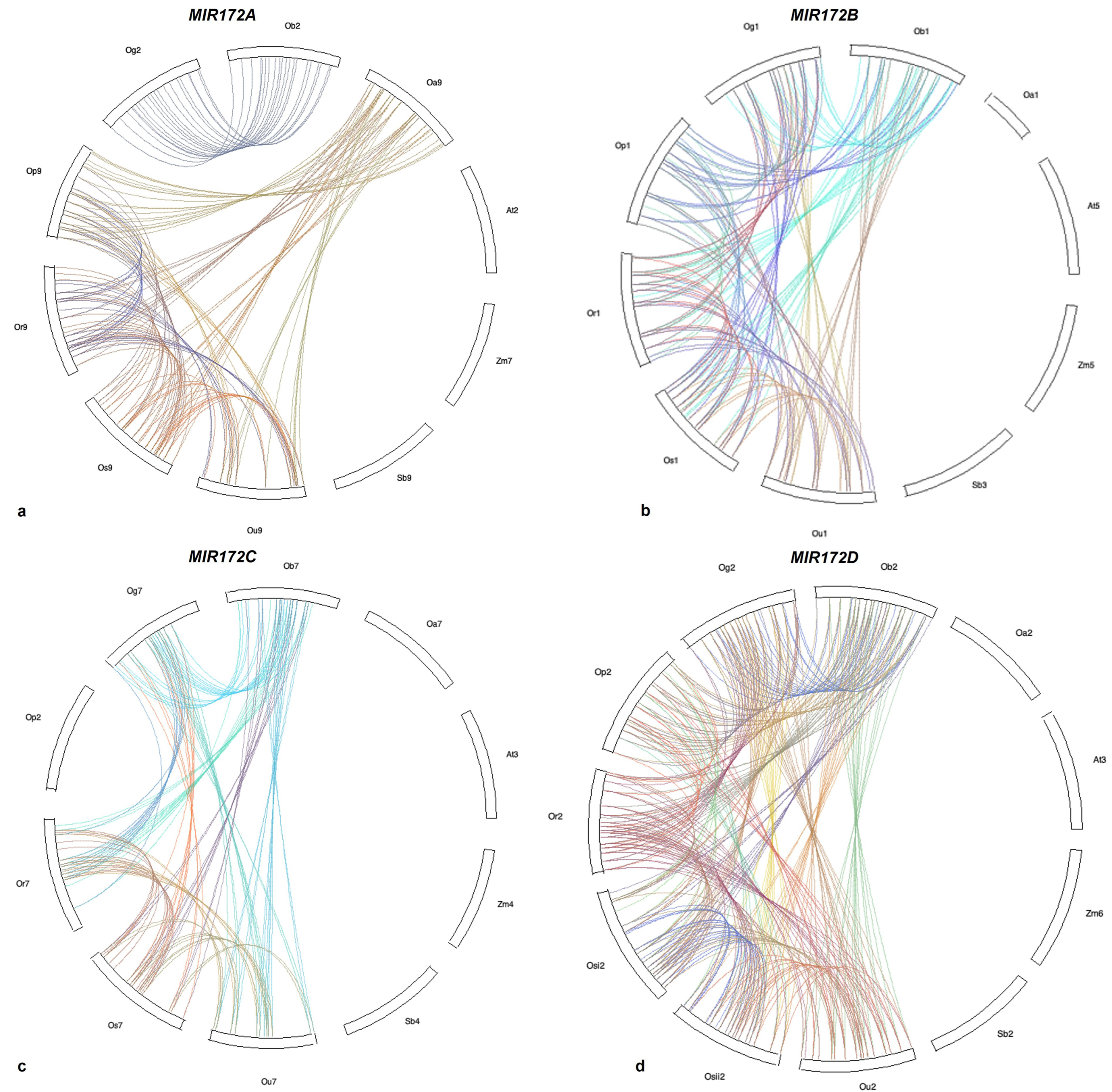 Cells 12 01370 g008 Cells 12 01370 g008