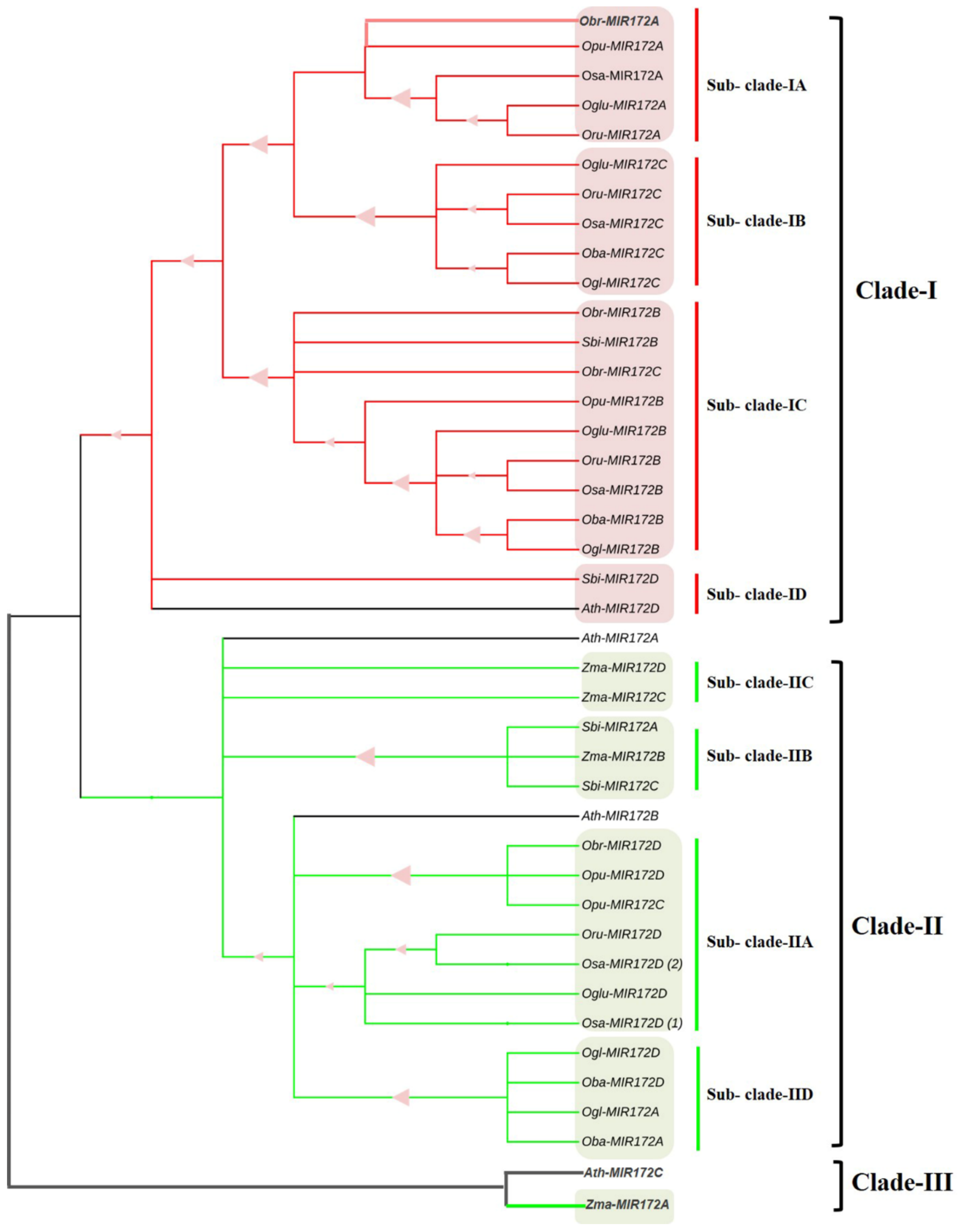 Cells 12 01370 g009 Cells 12 01370 g009