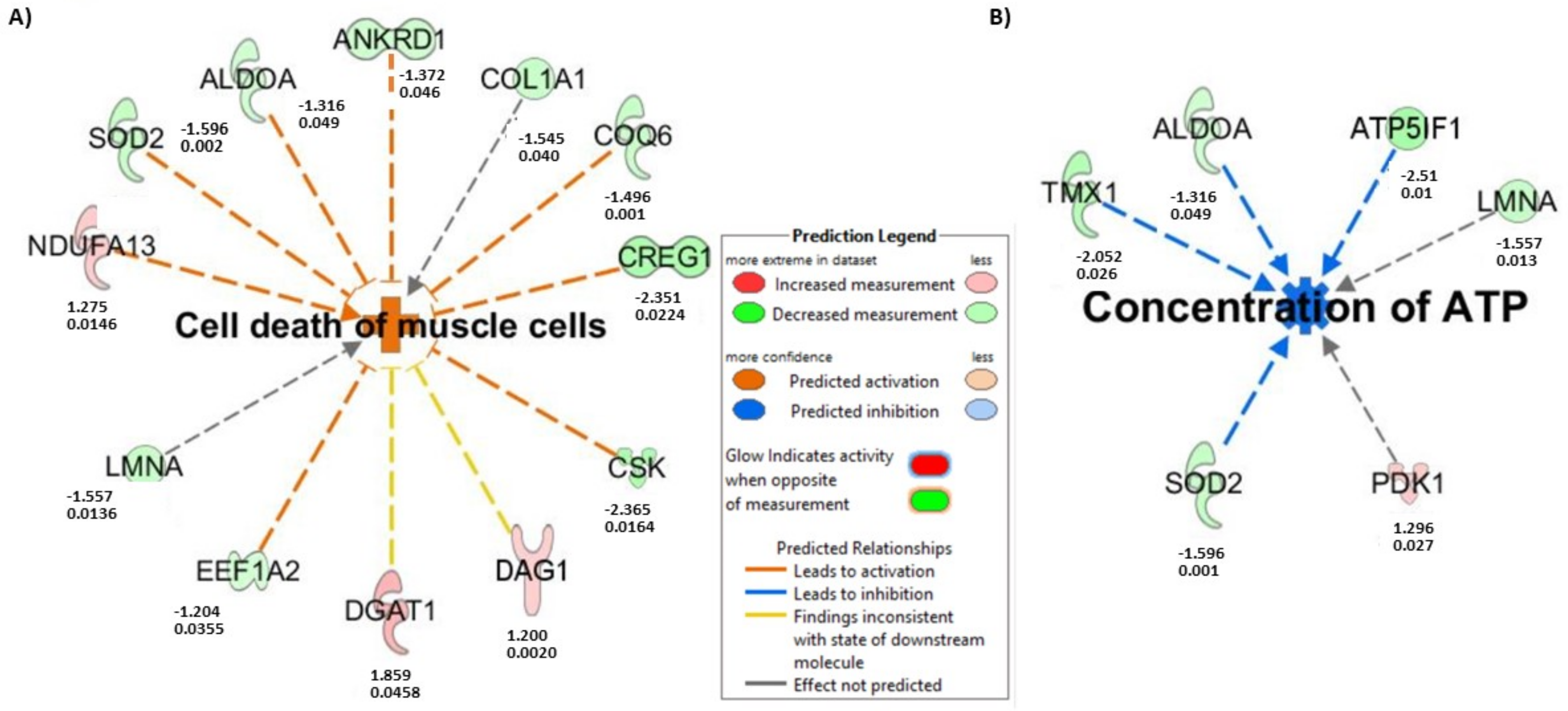 Cells 12 01373 g007 Cells 12 01373 g007
