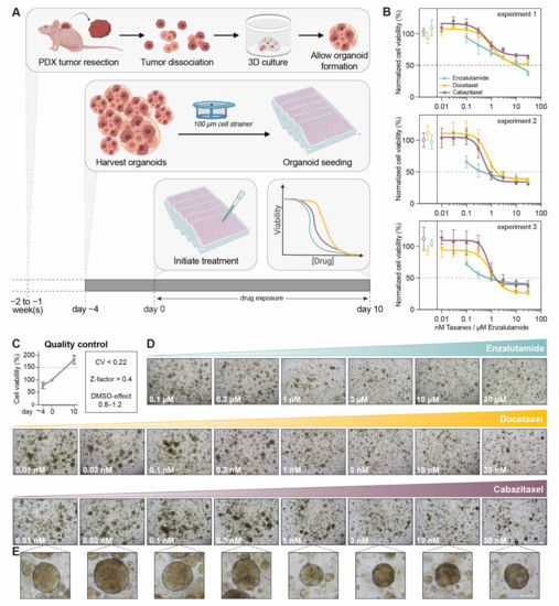 Viability Analysis and High-Content Live-Cell Imaging for Drug