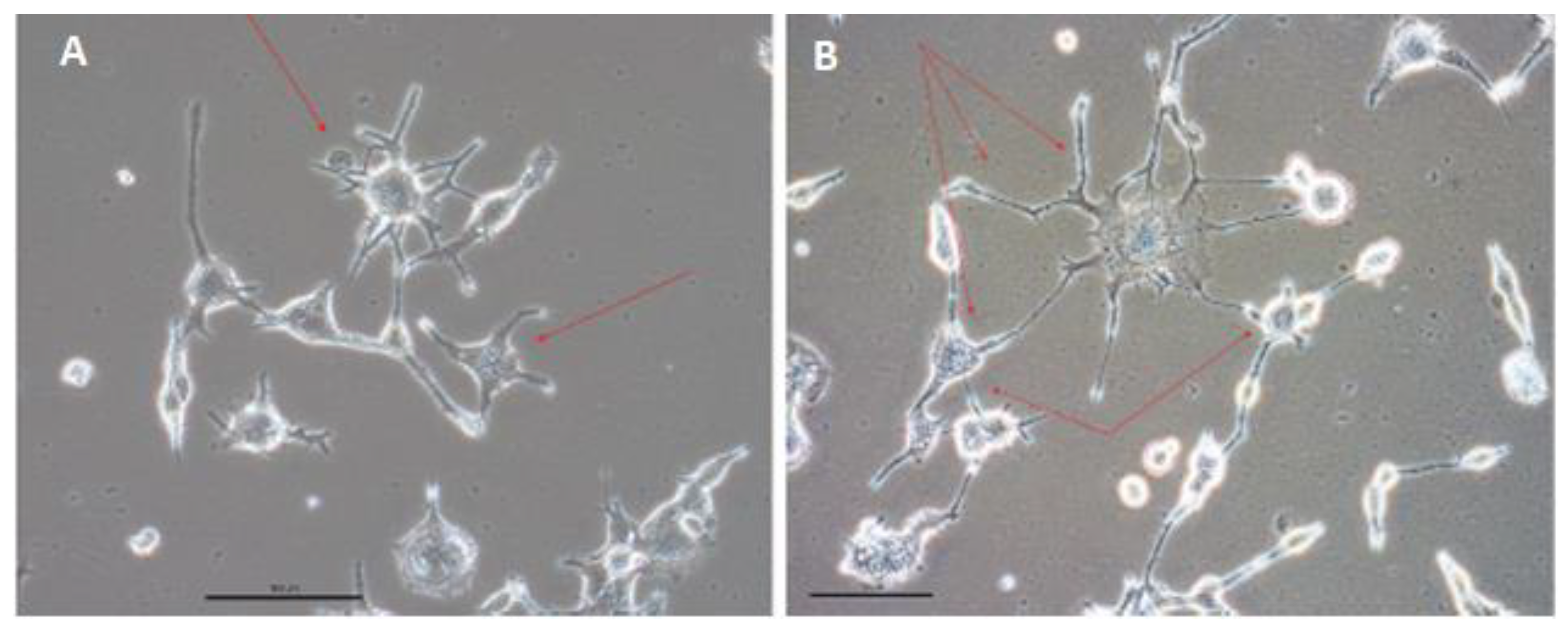 Cells 12 01381 g006 Cells 12 01381 g006