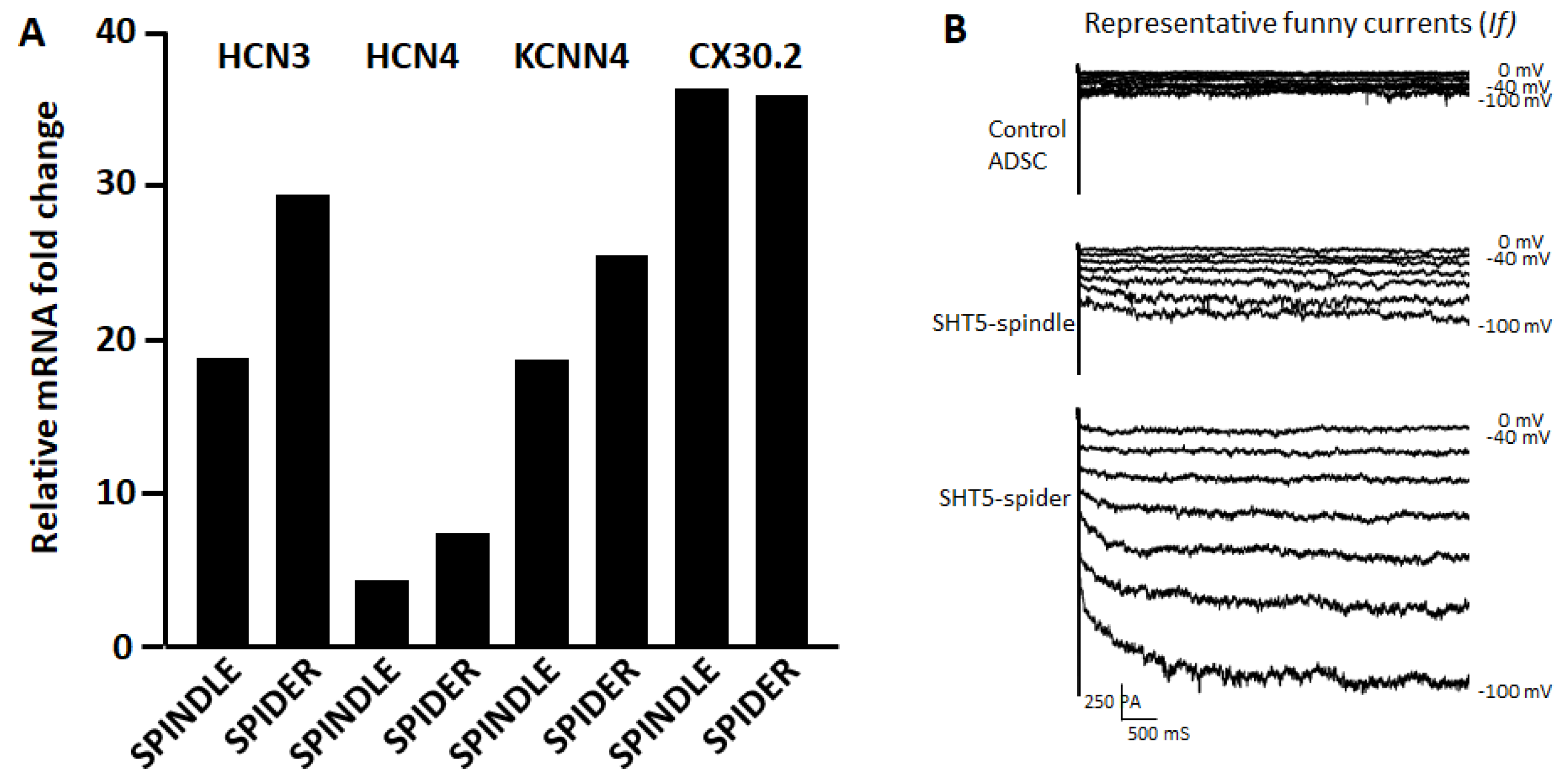 Cells 12 01381 g007 Cells 12 01381 g007