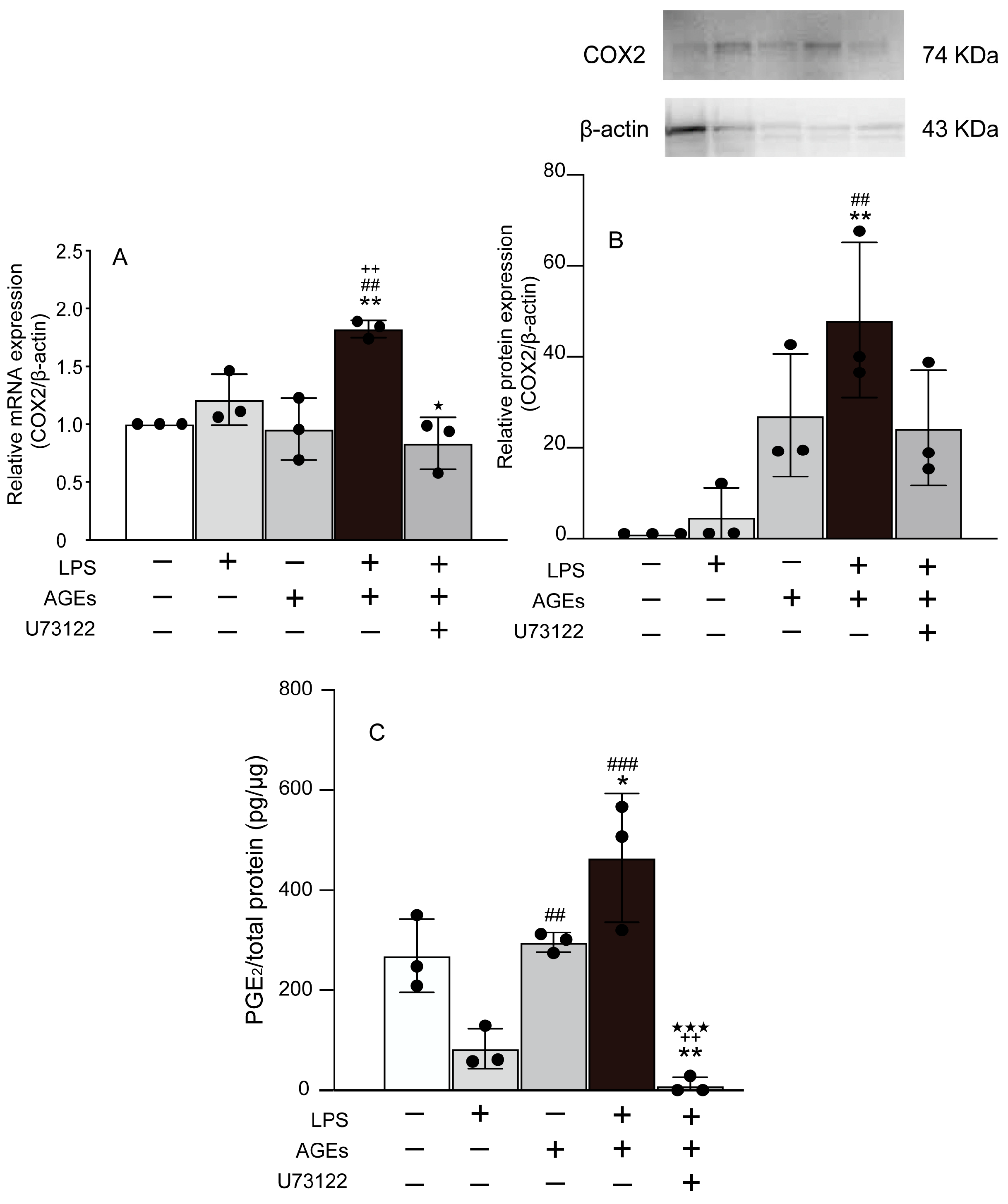 Cells 12 01383 g001 Cells 12 01383 g001