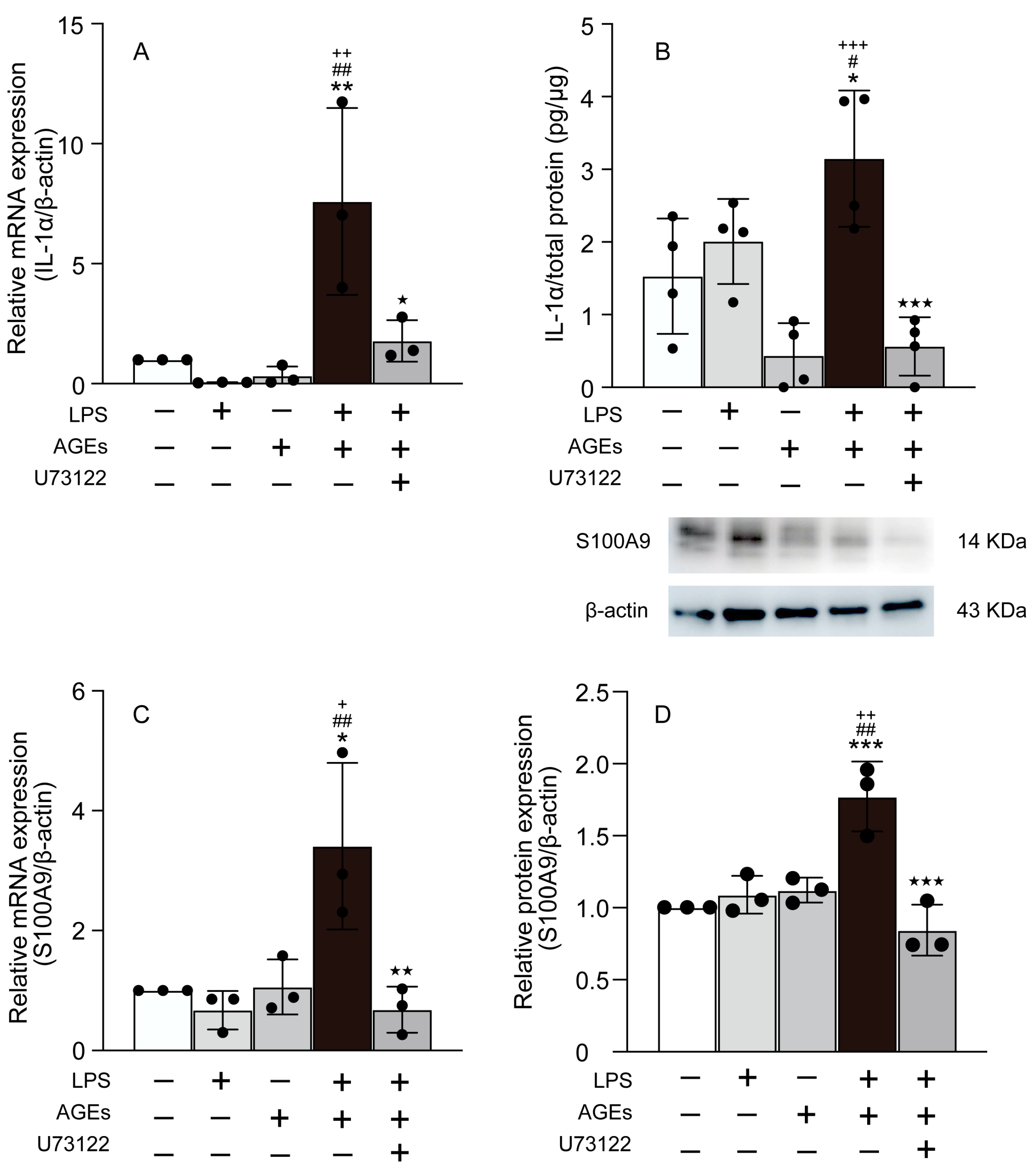 Cells 12 01383 g002 Cells 12 01383 g002