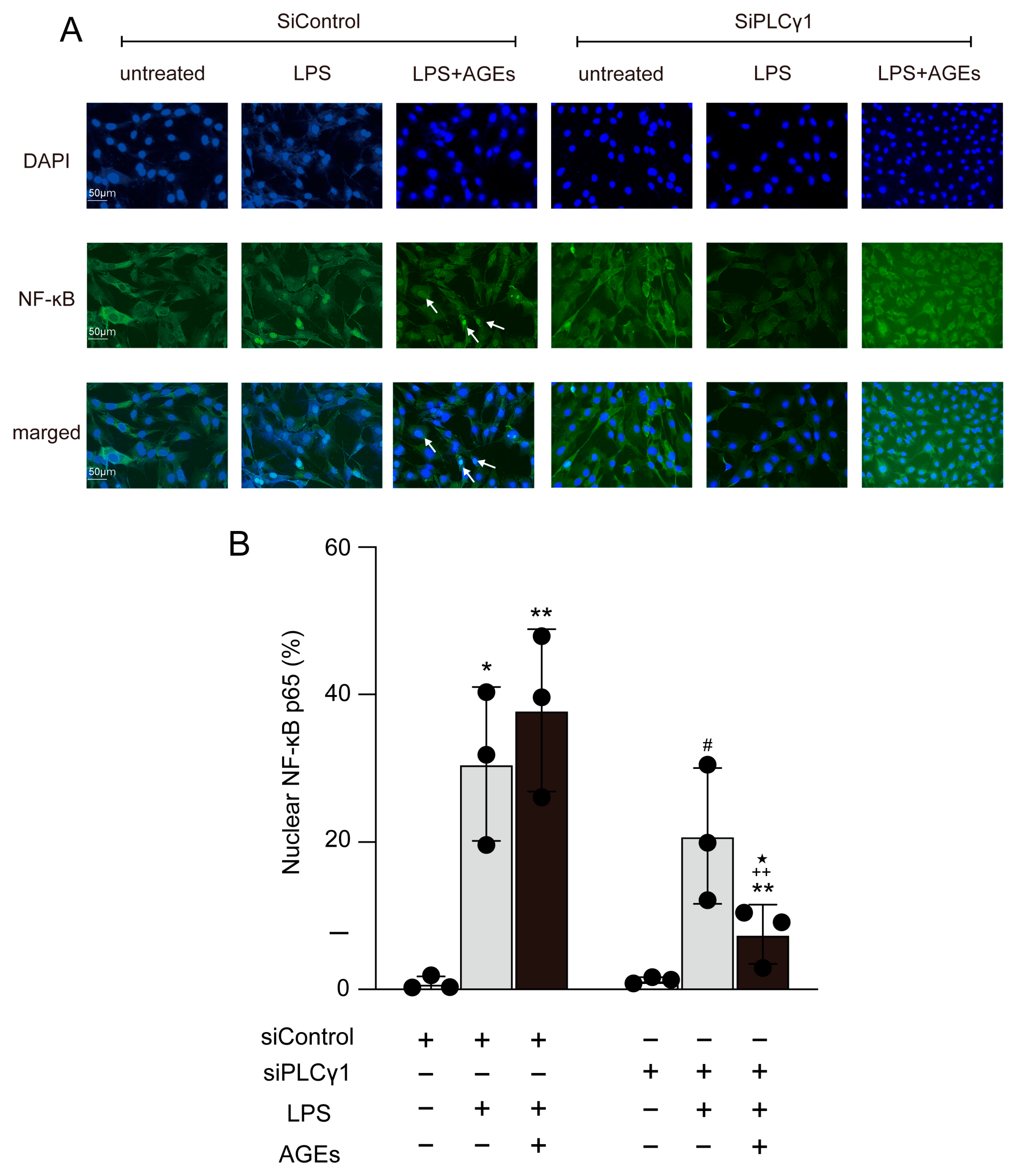 Cells 12 01383 g006 Cells 12 01383 g006