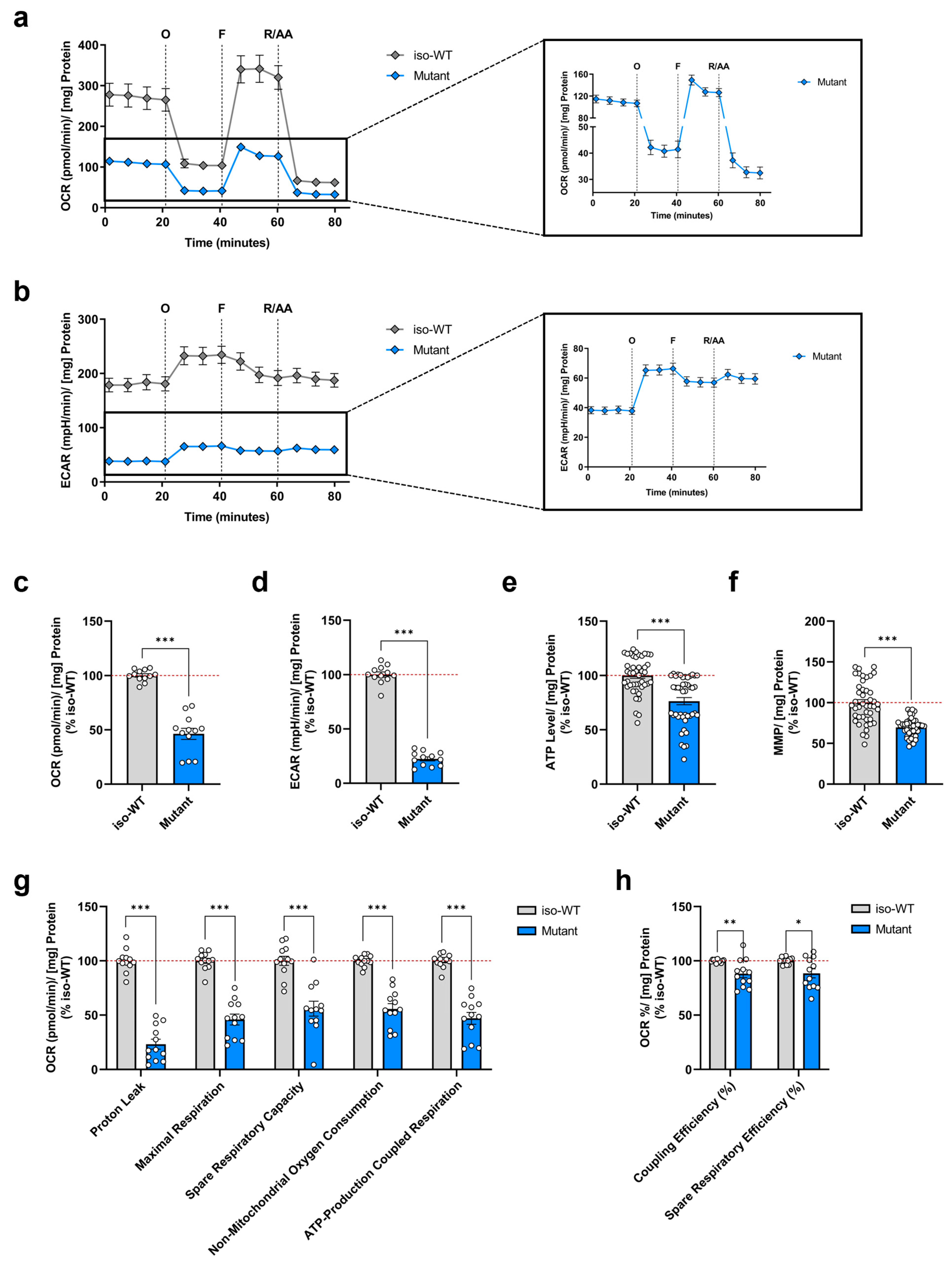 Cells 12 01385 g001 Cells 12 01385 g001