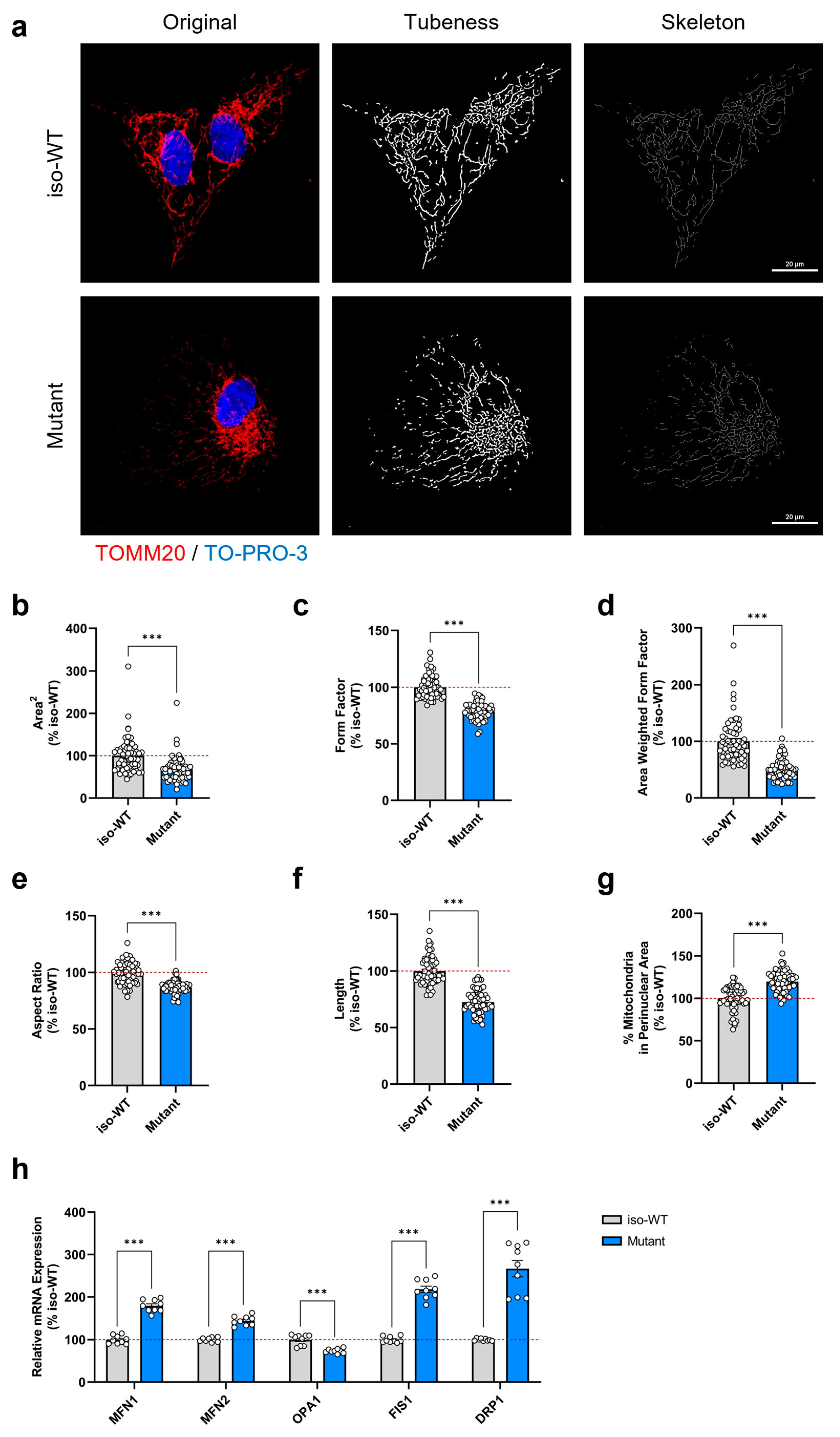Cells 12 01385 g004 Cells 12 01385 g004