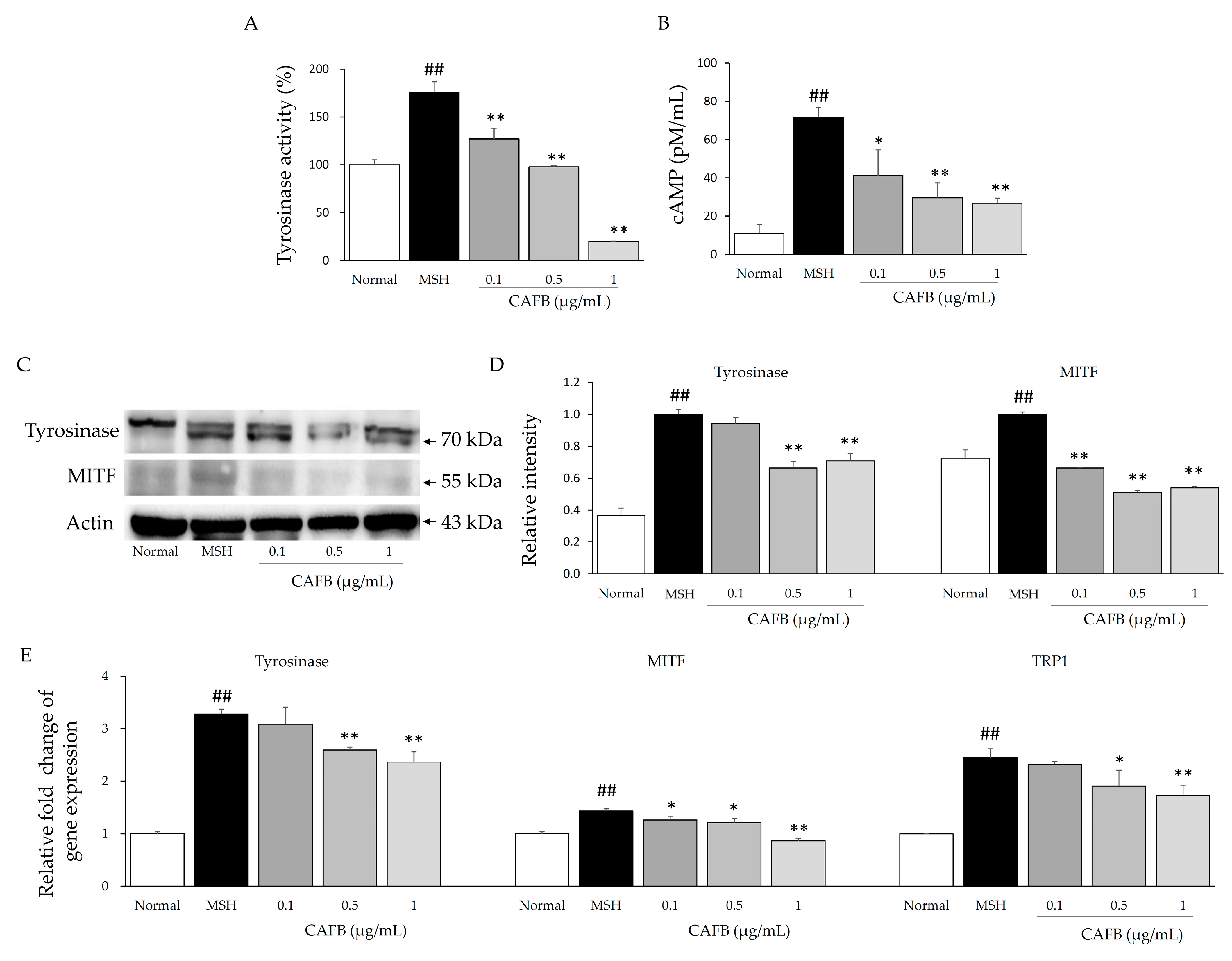 Cells 12 01390 g003 Cells 12 01390 g003