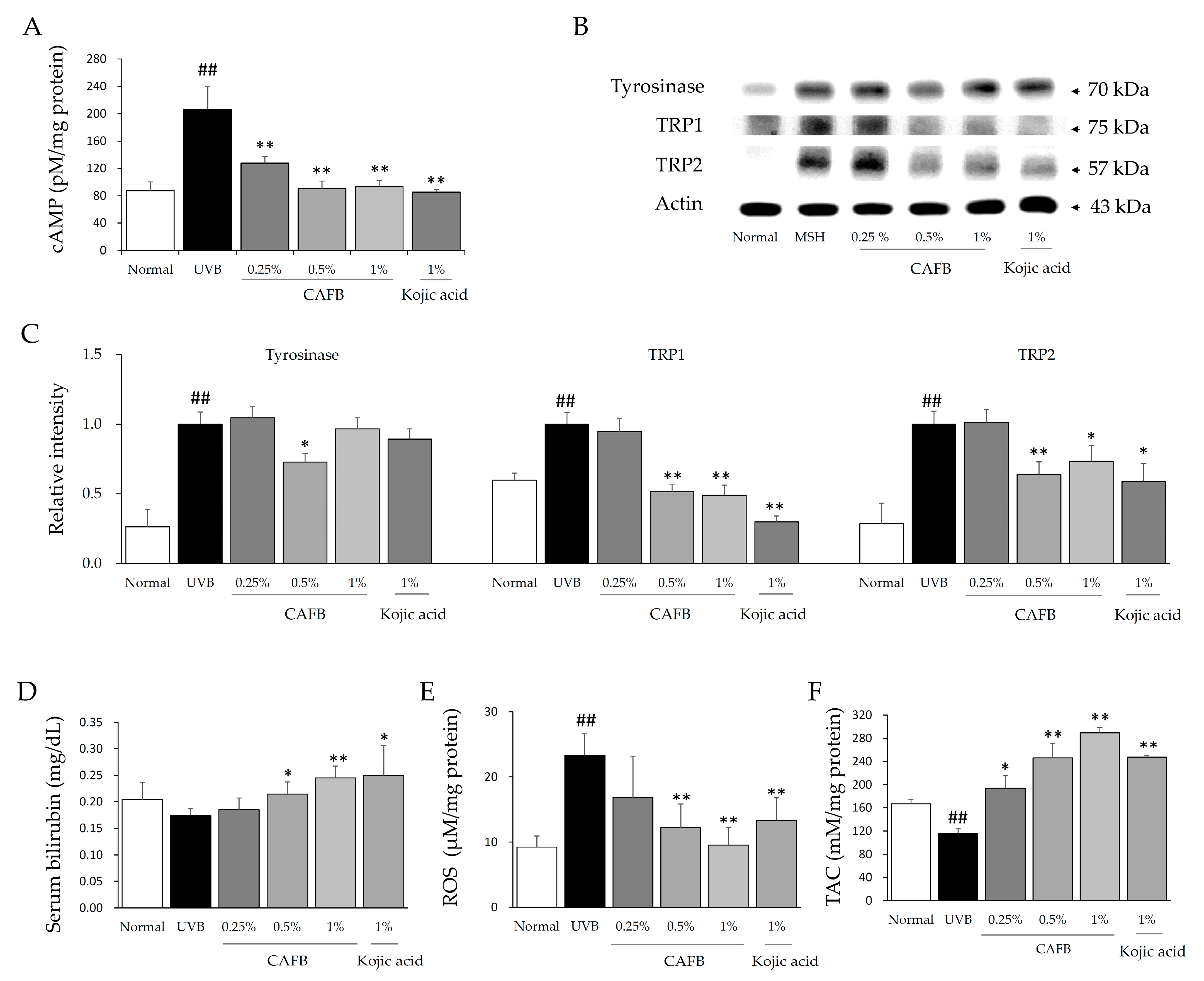 Cells 12 01390 g005 Cells 12 01390 g005