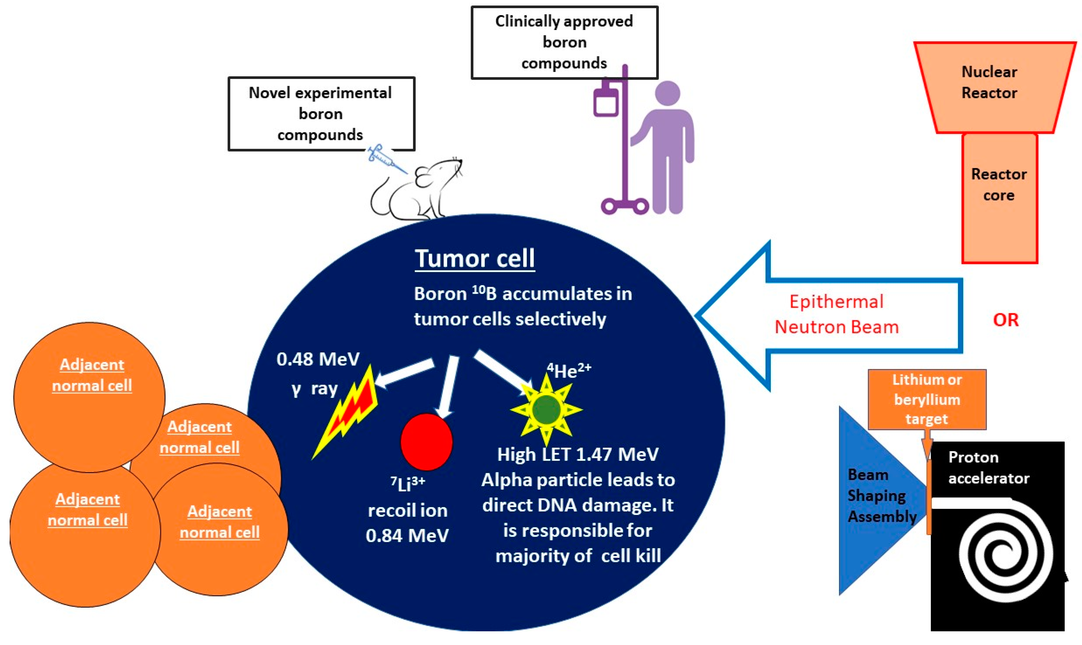 Cells 12 01398 g001 Cells 12 01398 g001